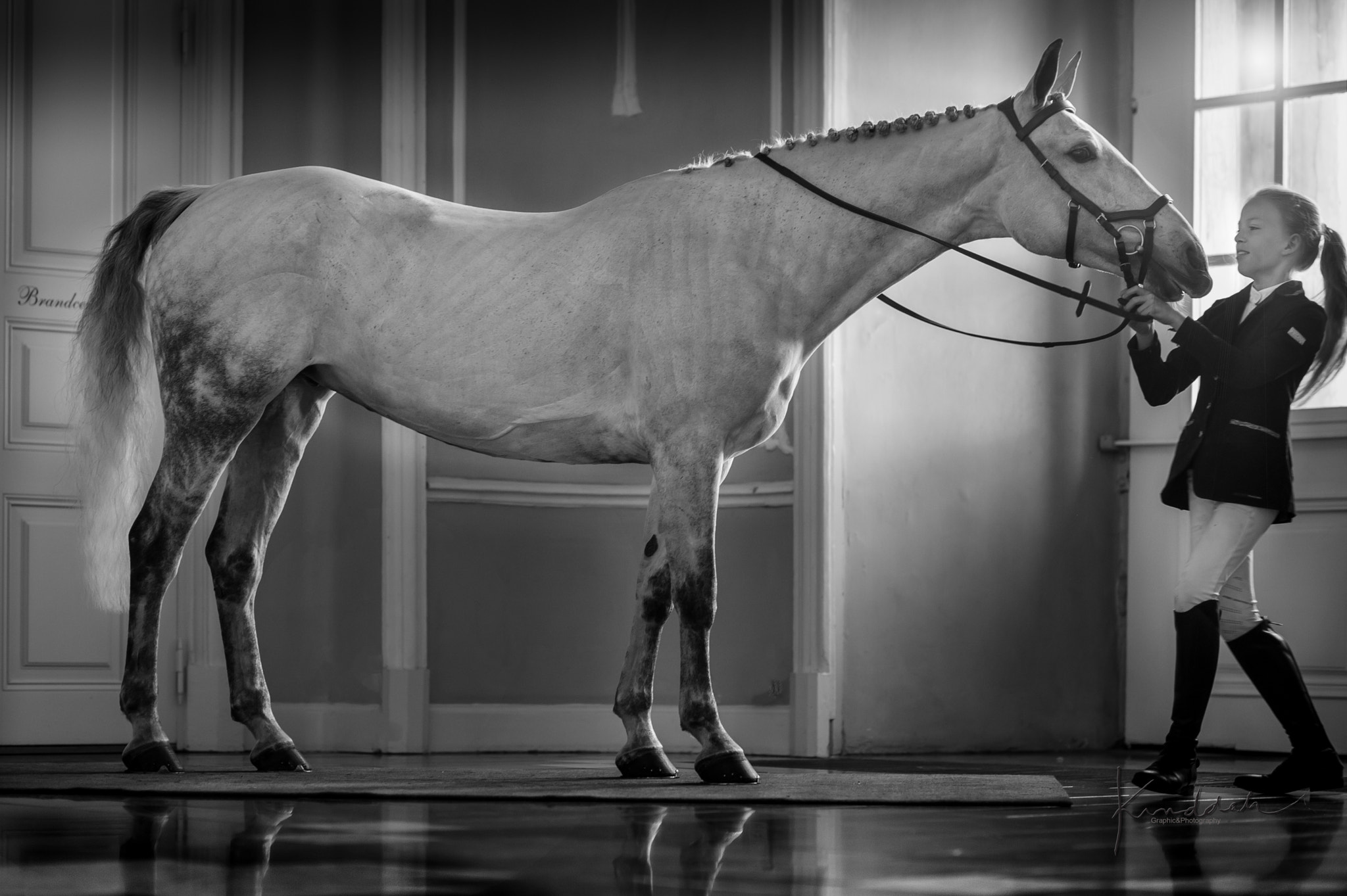 Nikon D3S sample photo. Equine living photography