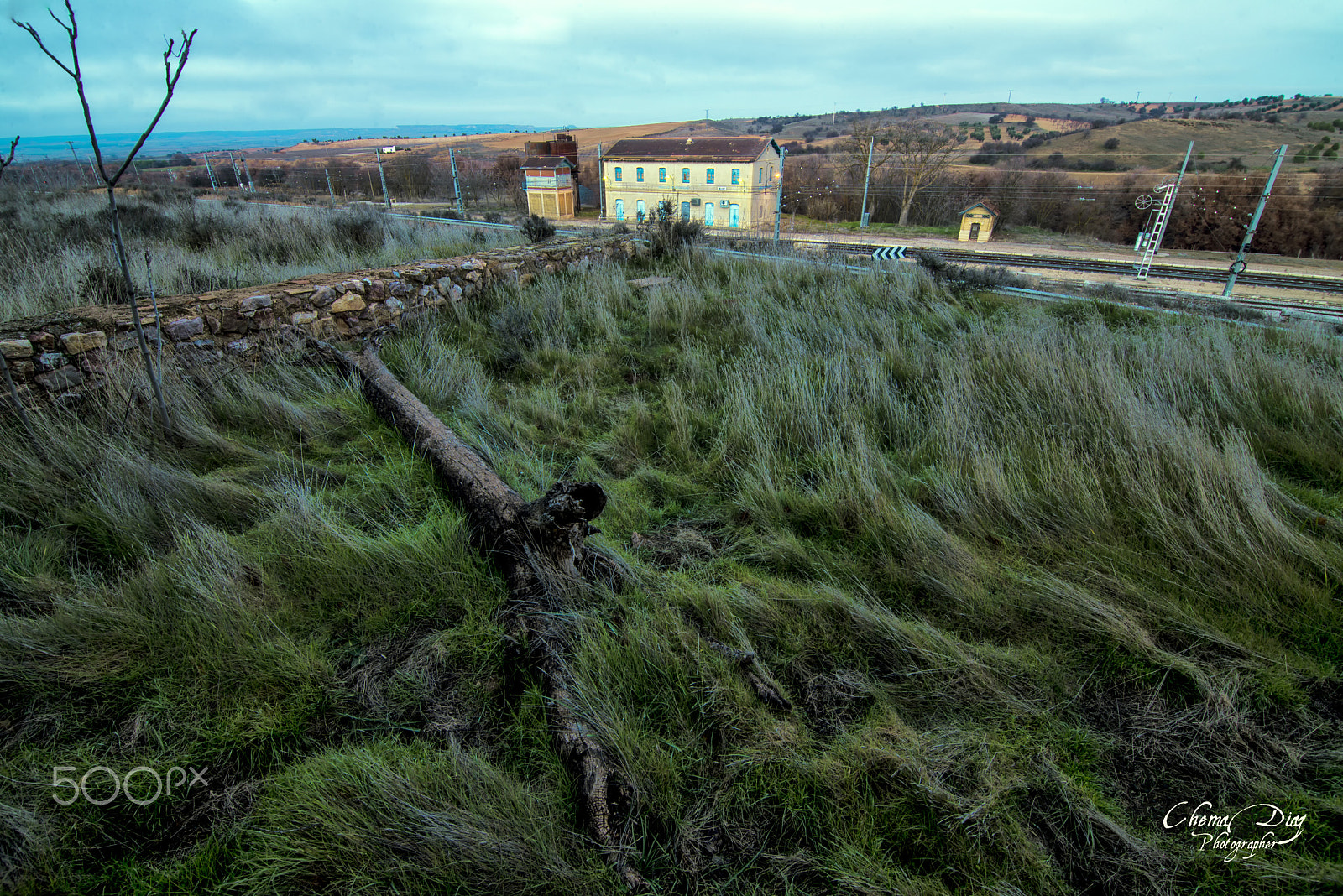 Nikon D800 sample photo. The fallen tree. photography