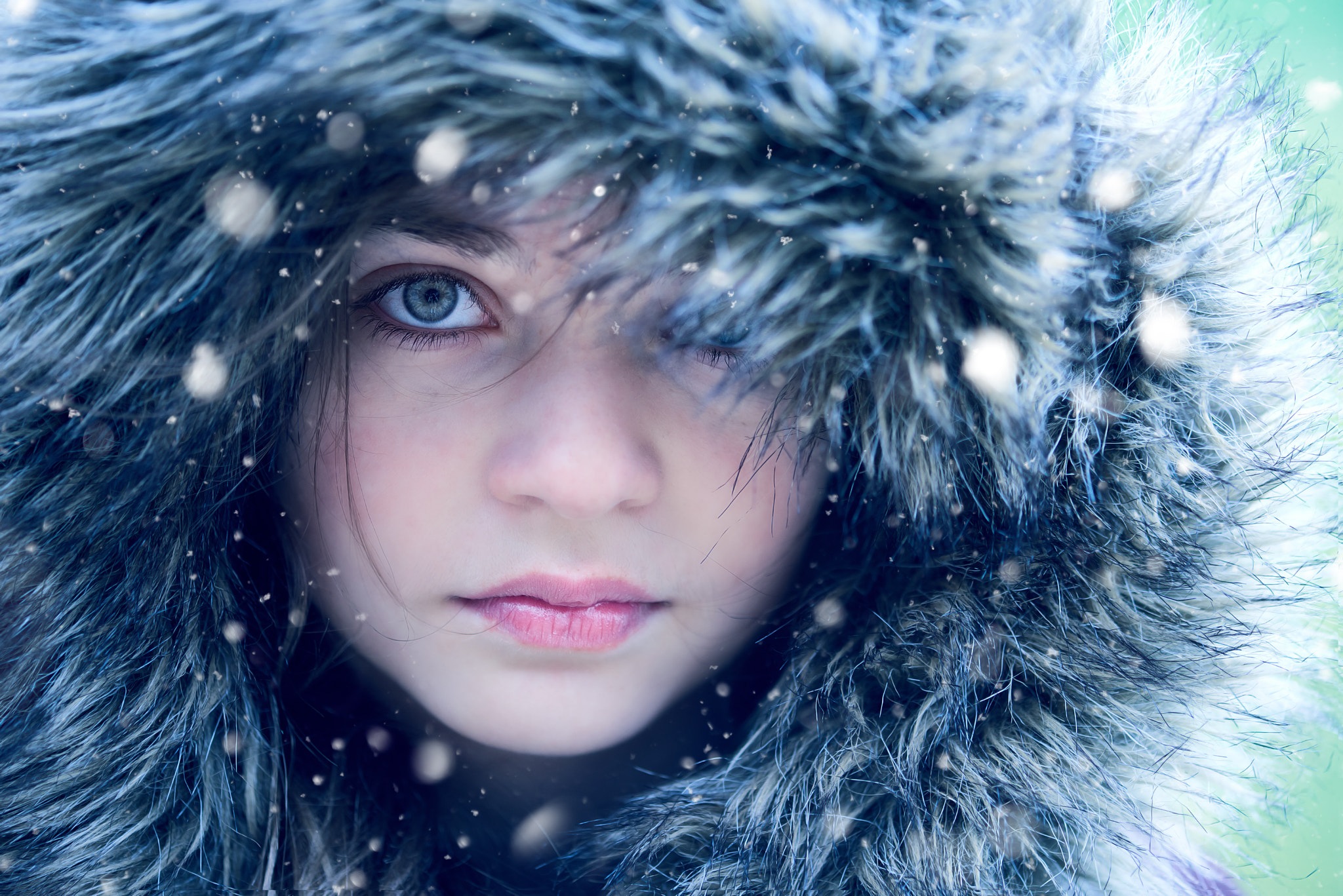 Nikon D800 sample photo. Winter is coming photography