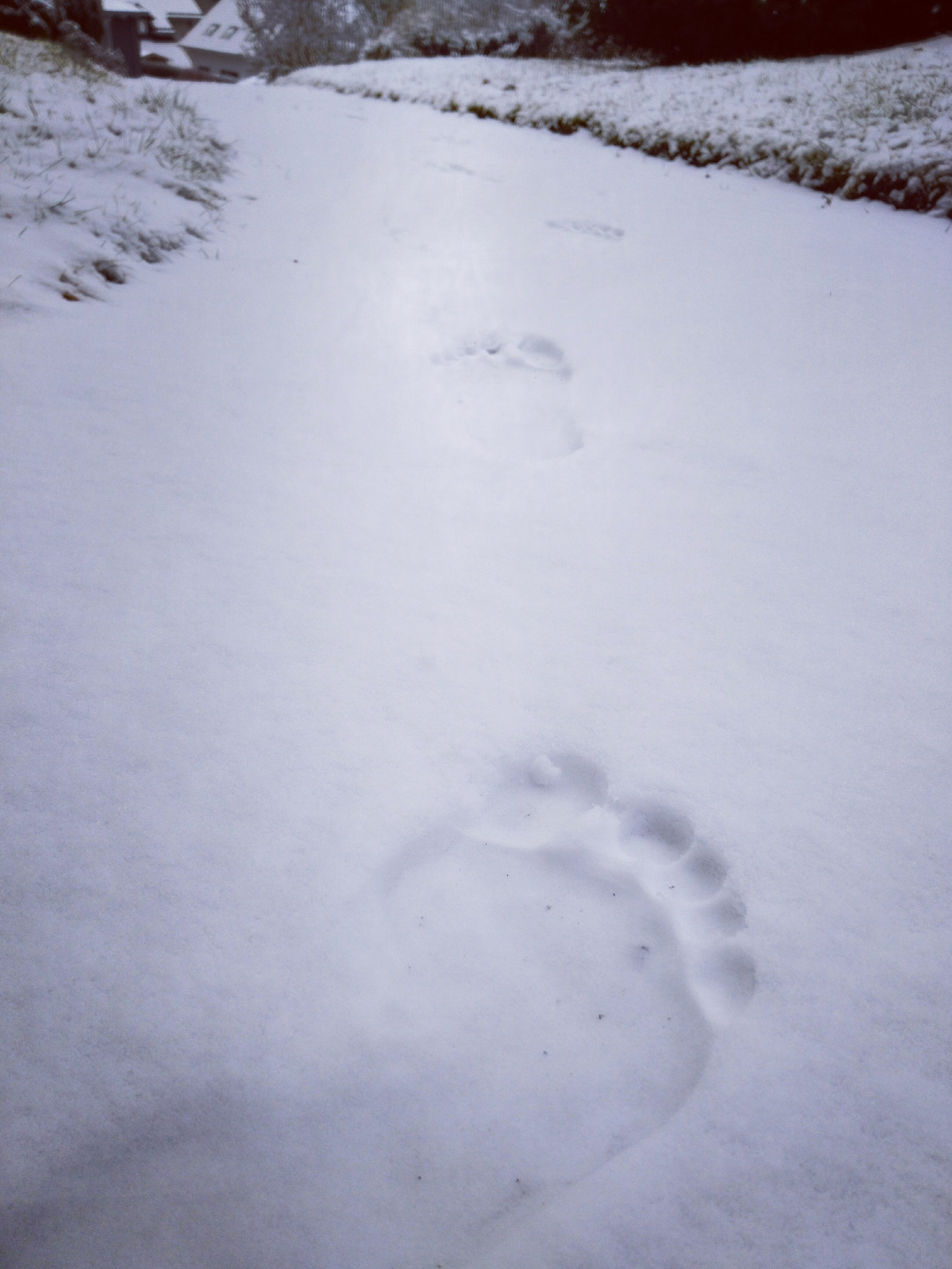 HUAWEI GR5 sample photo. The feeling of snow photography