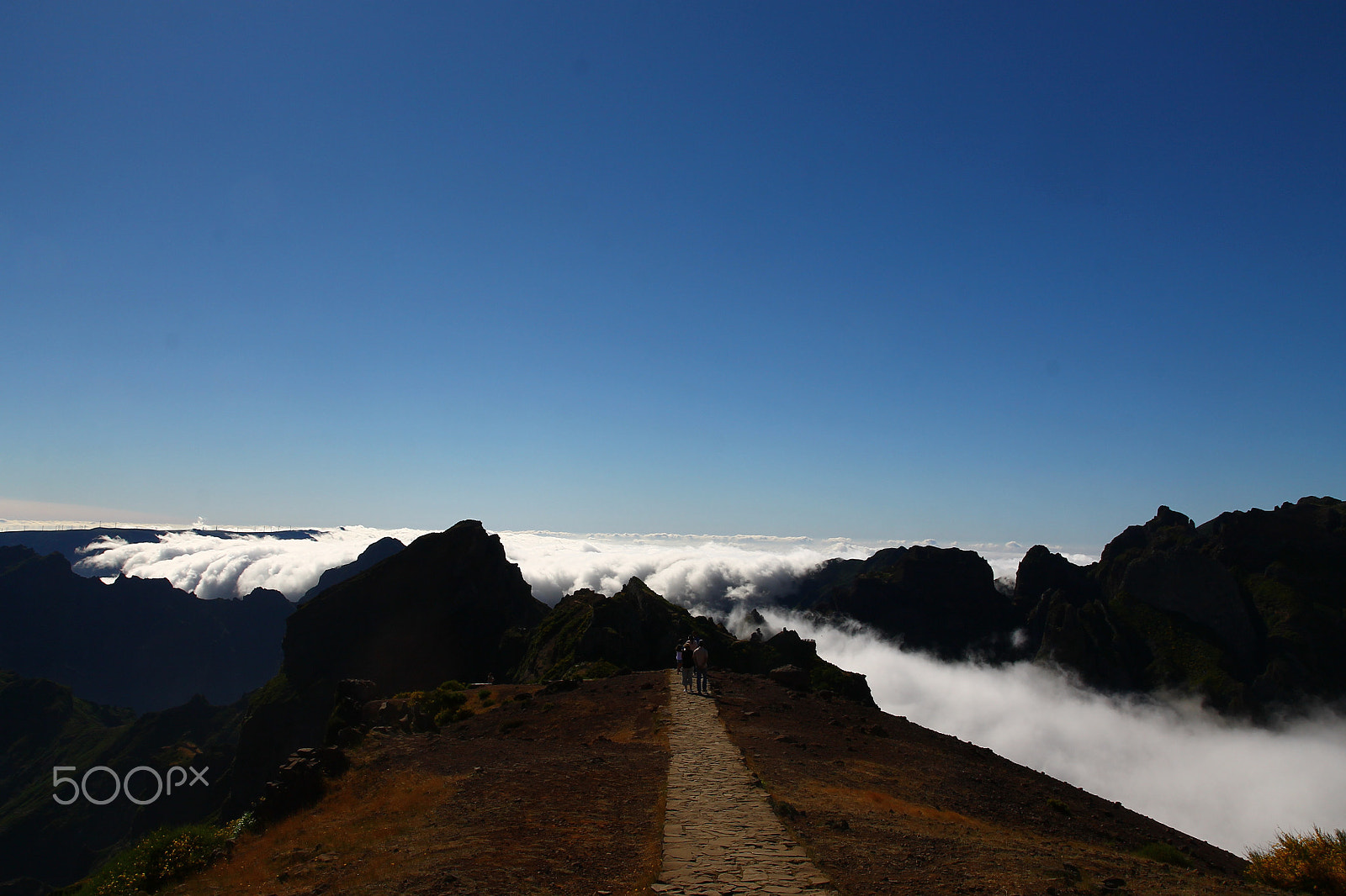 Canon EF-S 17-55mm F2.8 IS USM sample photo. Madeira island - portugal photography