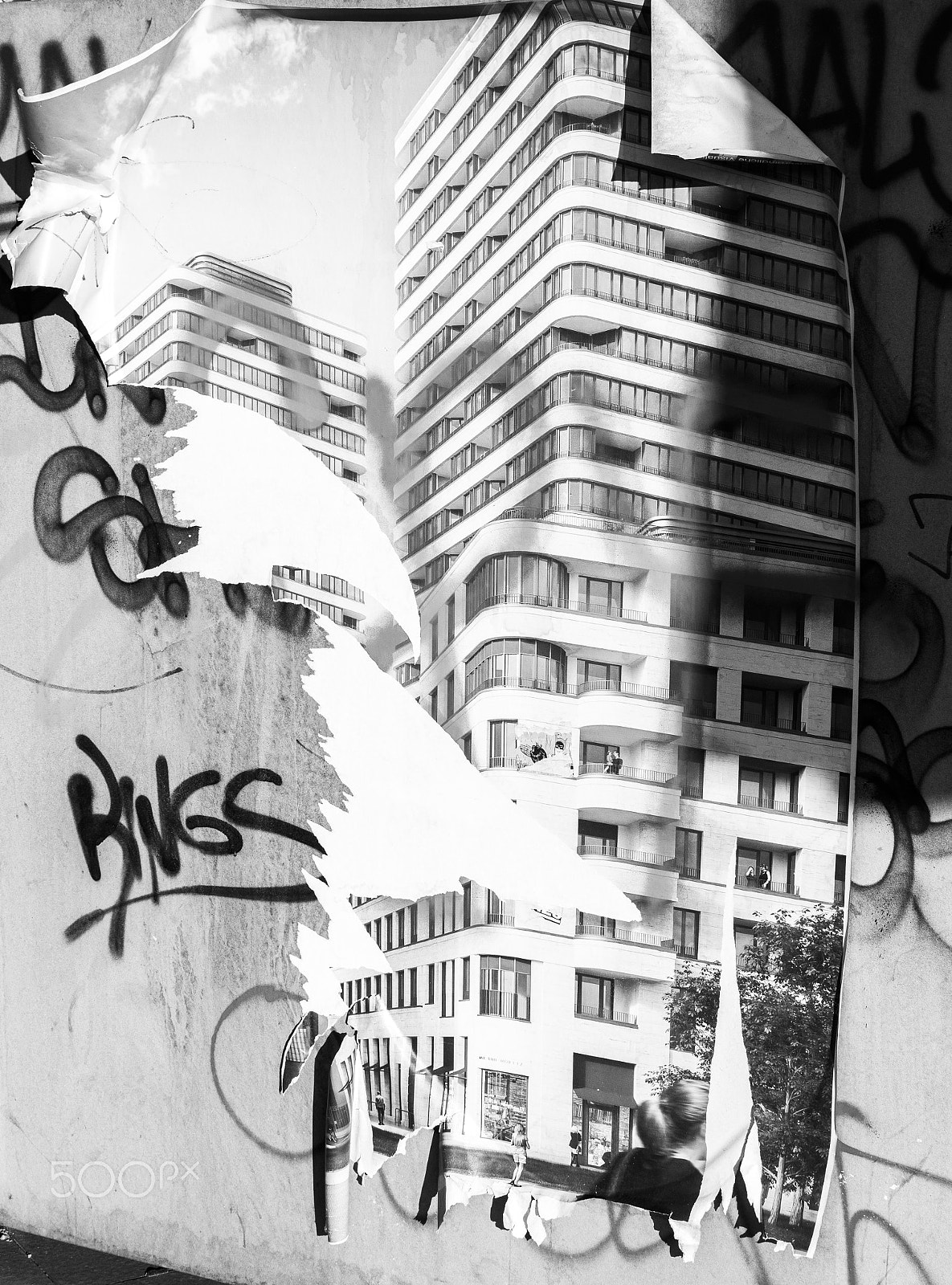 Nikon D500 + Nikon AF-S DX Nikkor 35mm F1.8G sample photo. Window to the future photography