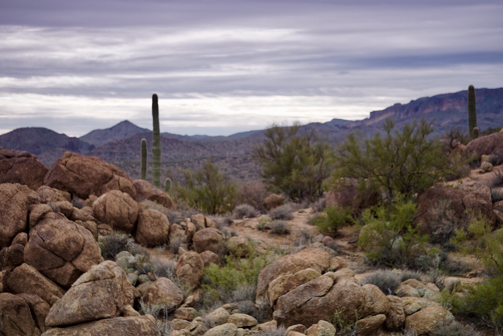 Sony E 55-210mm F4.5-6.3 OSS sample photo. The calm before the storm photography
