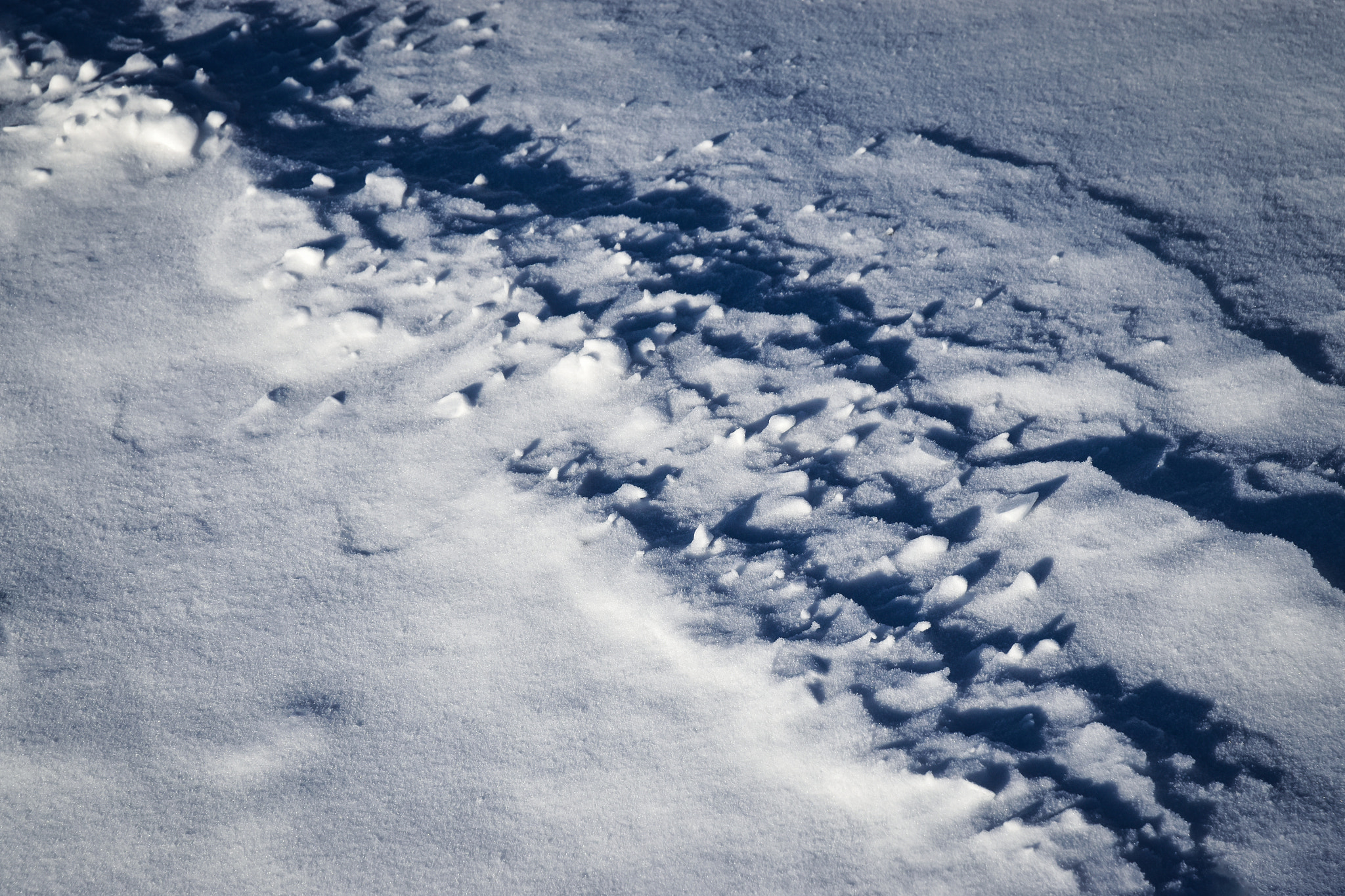 Nikon D5500 sample photo. Shadows on the snow field photography