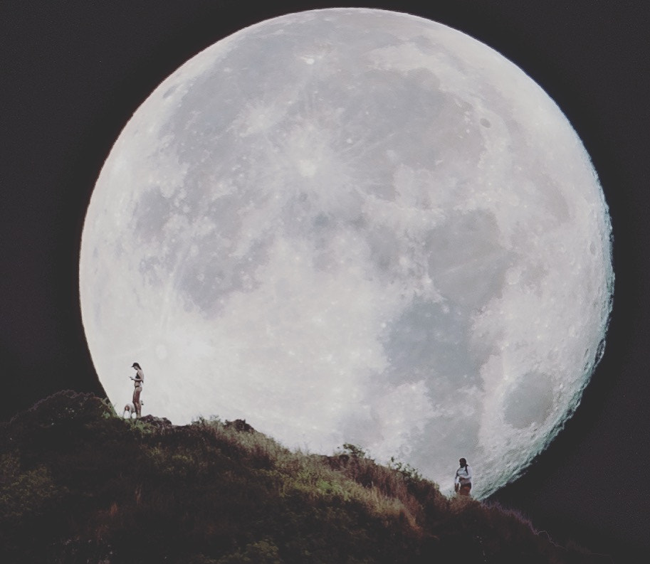 Nikon D810 sample photo. The moon photography