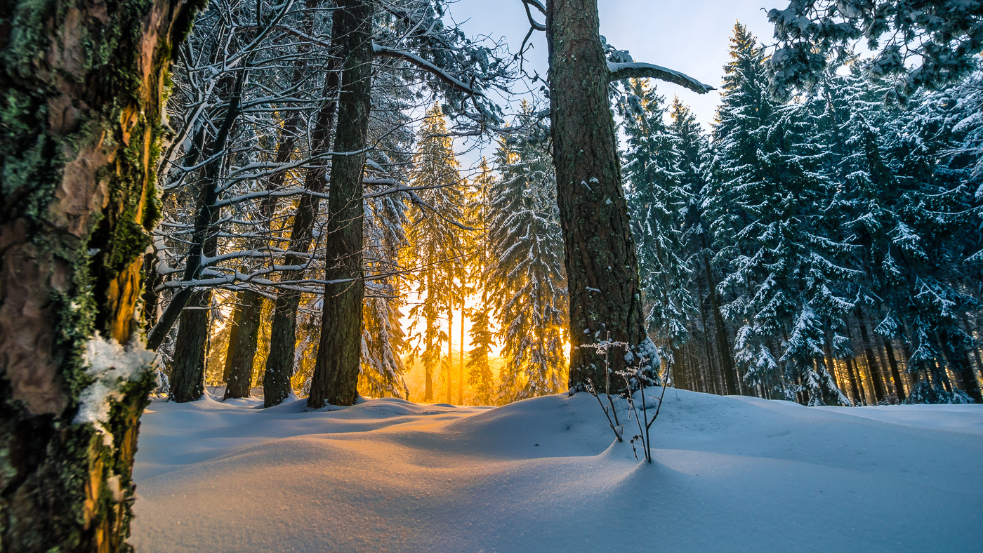 Sigma 10-20mm F3.5 EX DC HSM sample photo. Winter hiking in the black forest photography