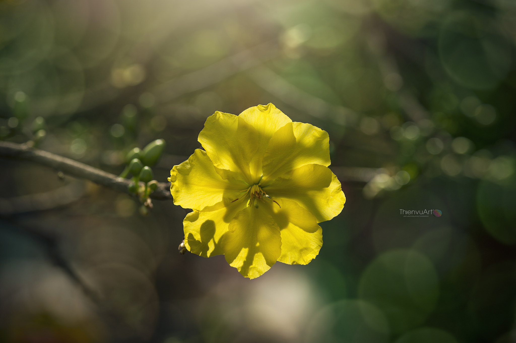 Nikon Df sample photo. Imi photography