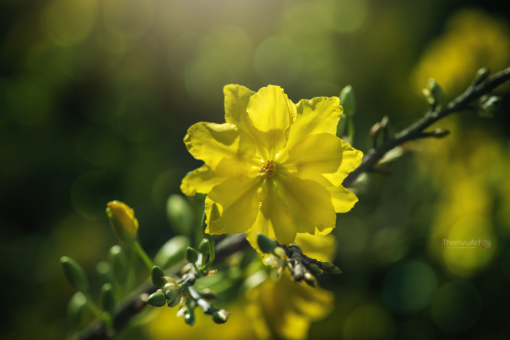 Nikon Df sample photo. Imi photography