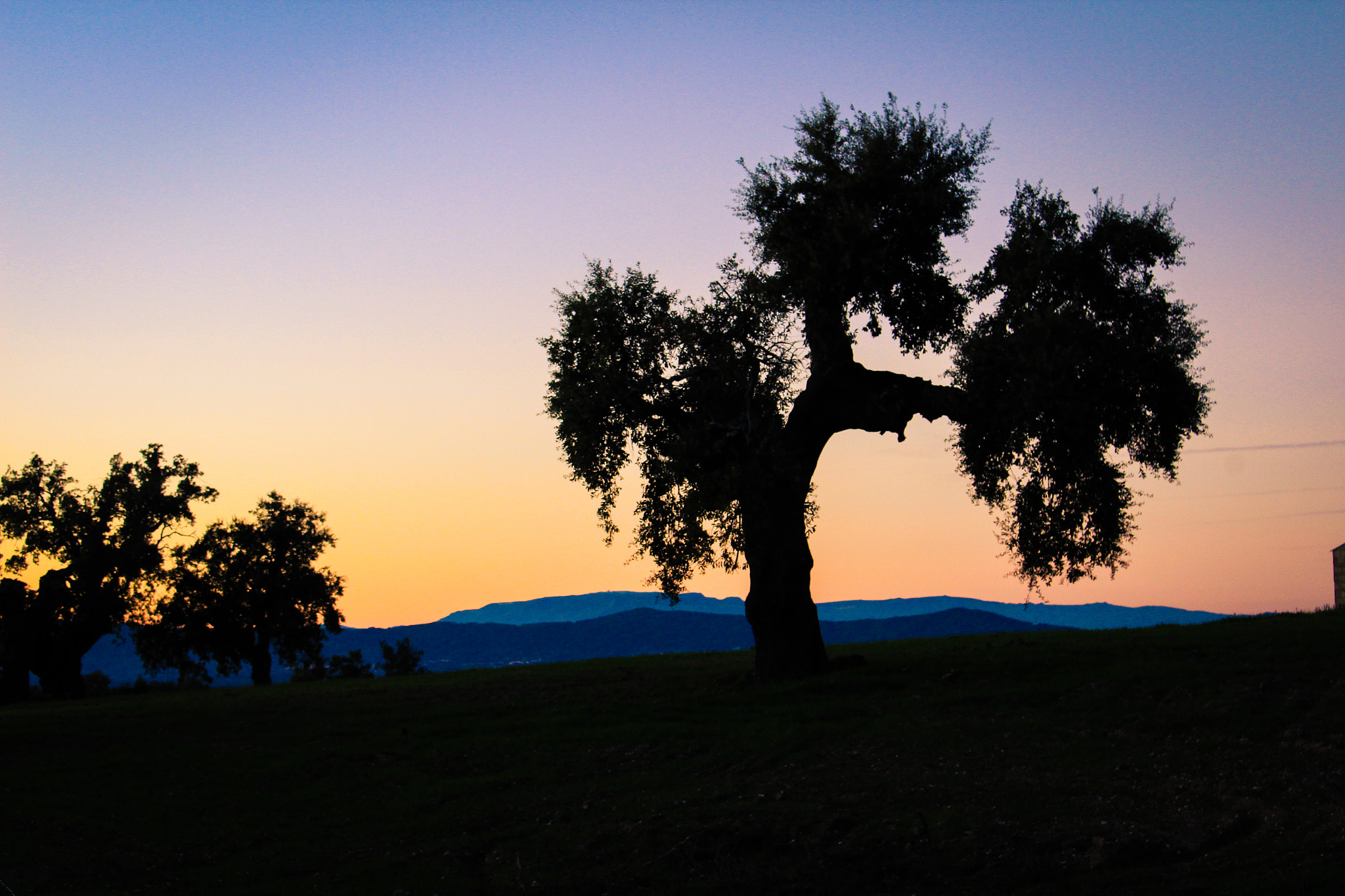 Canon EOS 1200D (EOS Rebel T5 / EOS Kiss X70 / EOS Hi) sample photo. Silhouettes in portugal photography