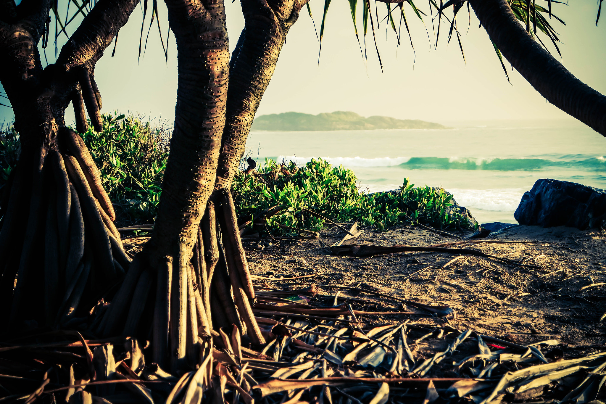 Samsung NX 16-50mm F3.5-5.6 Power Zoom ED OIS sample photo. Paradise photography