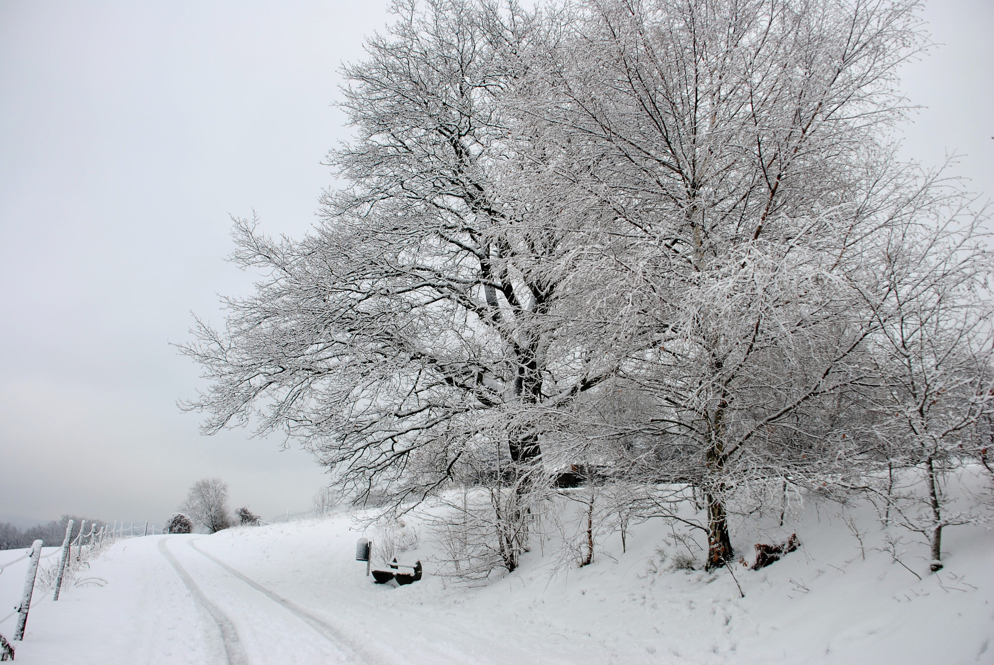 Nikon D3000 sample photo. Wieder winter... photography