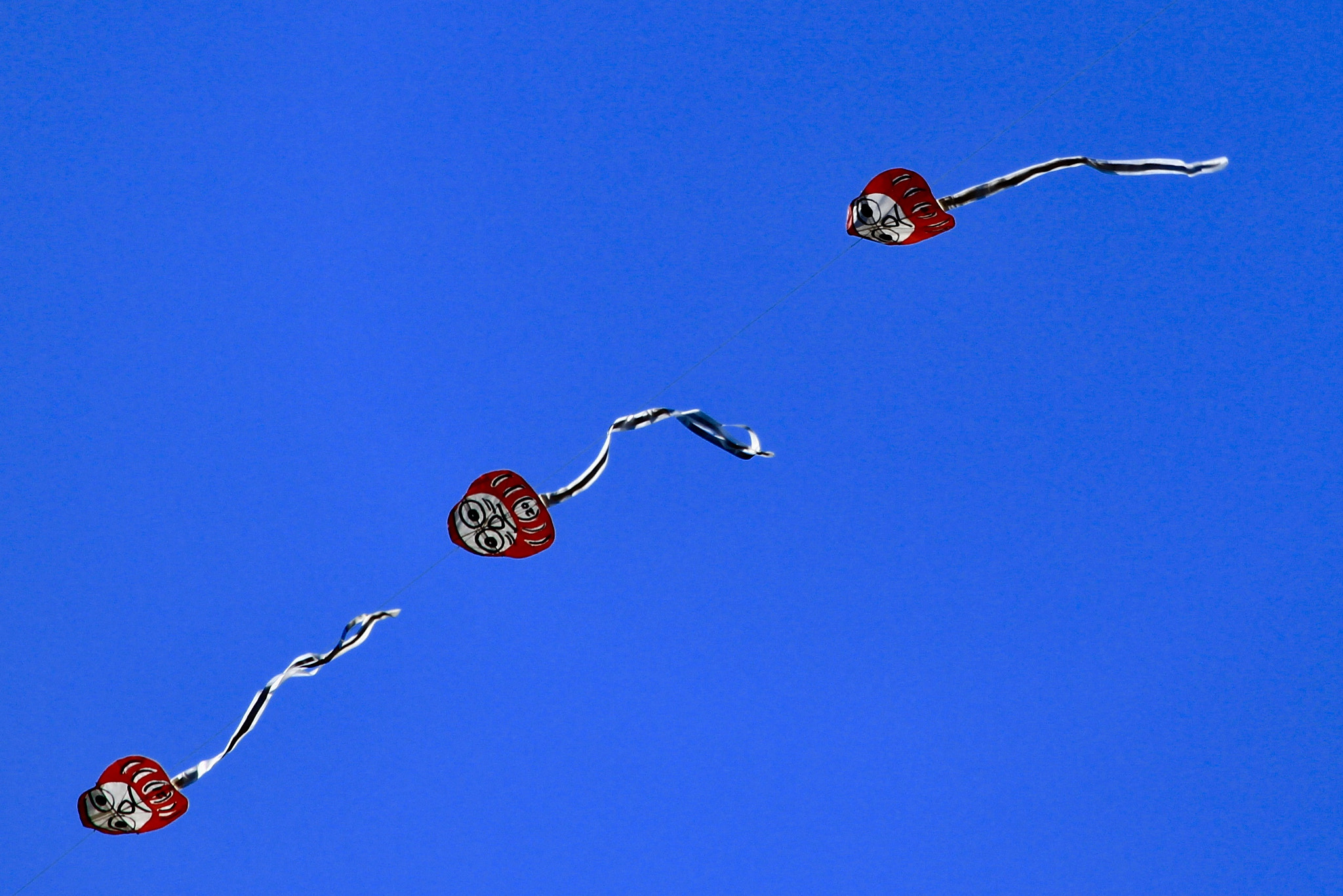 Canon EOS 700D (EOS Rebel T5i / EOS Kiss X7i) sample photo. Catching the wind..... photography