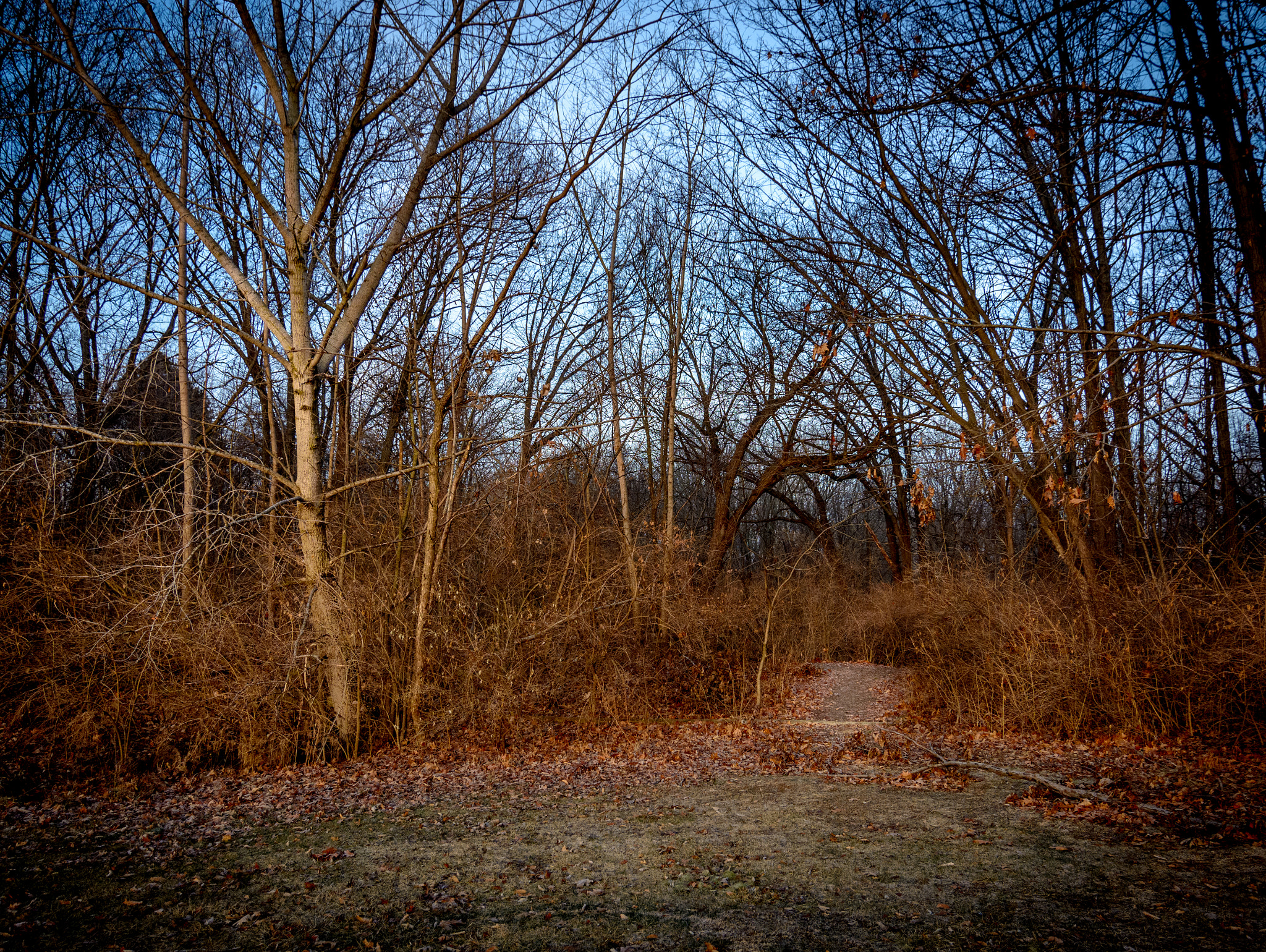 Nikon D7100 sample photo. Desolate path photography