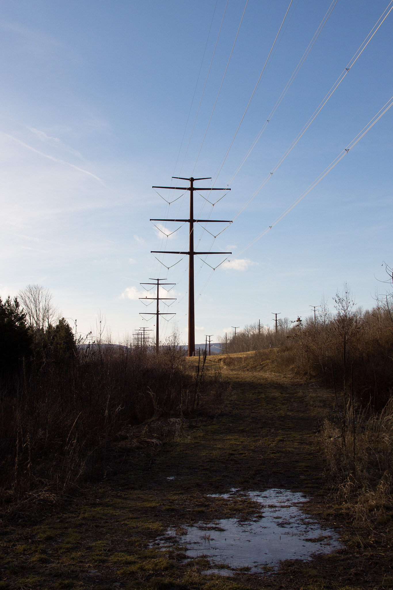 Canon EOS 650D (EOS Rebel T4i / EOS Kiss X6i) sample photo. Country power: day 13/365 photography