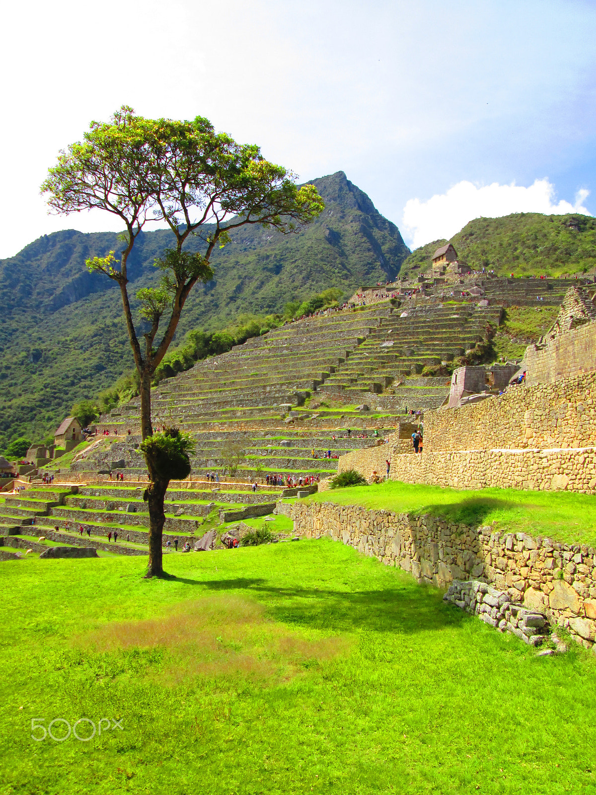 Canon POWERSHOT A2600 sample photo. Macchu picchu photography