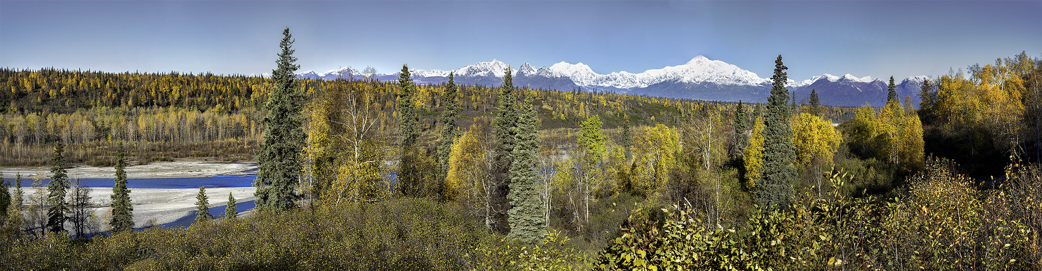Nikon D610 + Nikon AF-S Nikkor 85mm F1.4G sample photo. Denali, alaska photography