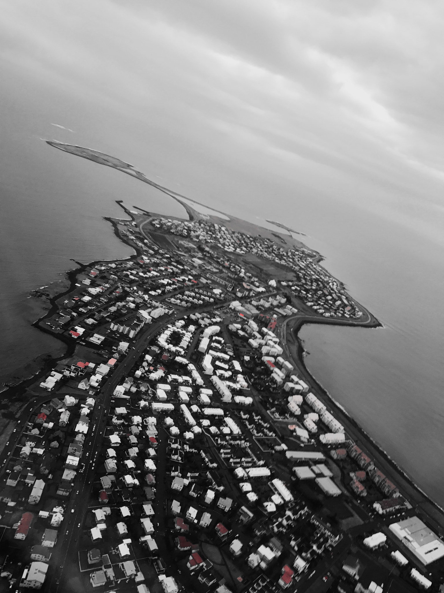 Apple iPhone9,4 sample photo. Afternoon in reykjavik photography