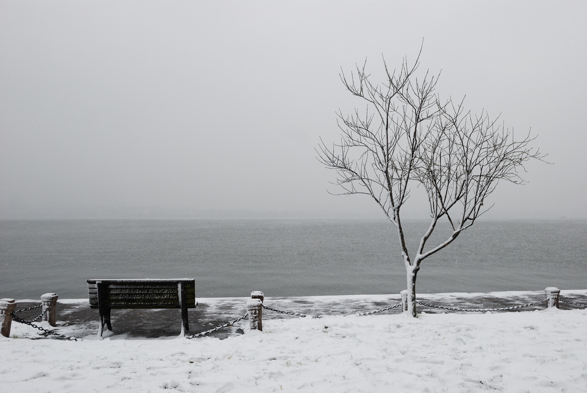Nikon D80 sample photo. So far so close photography