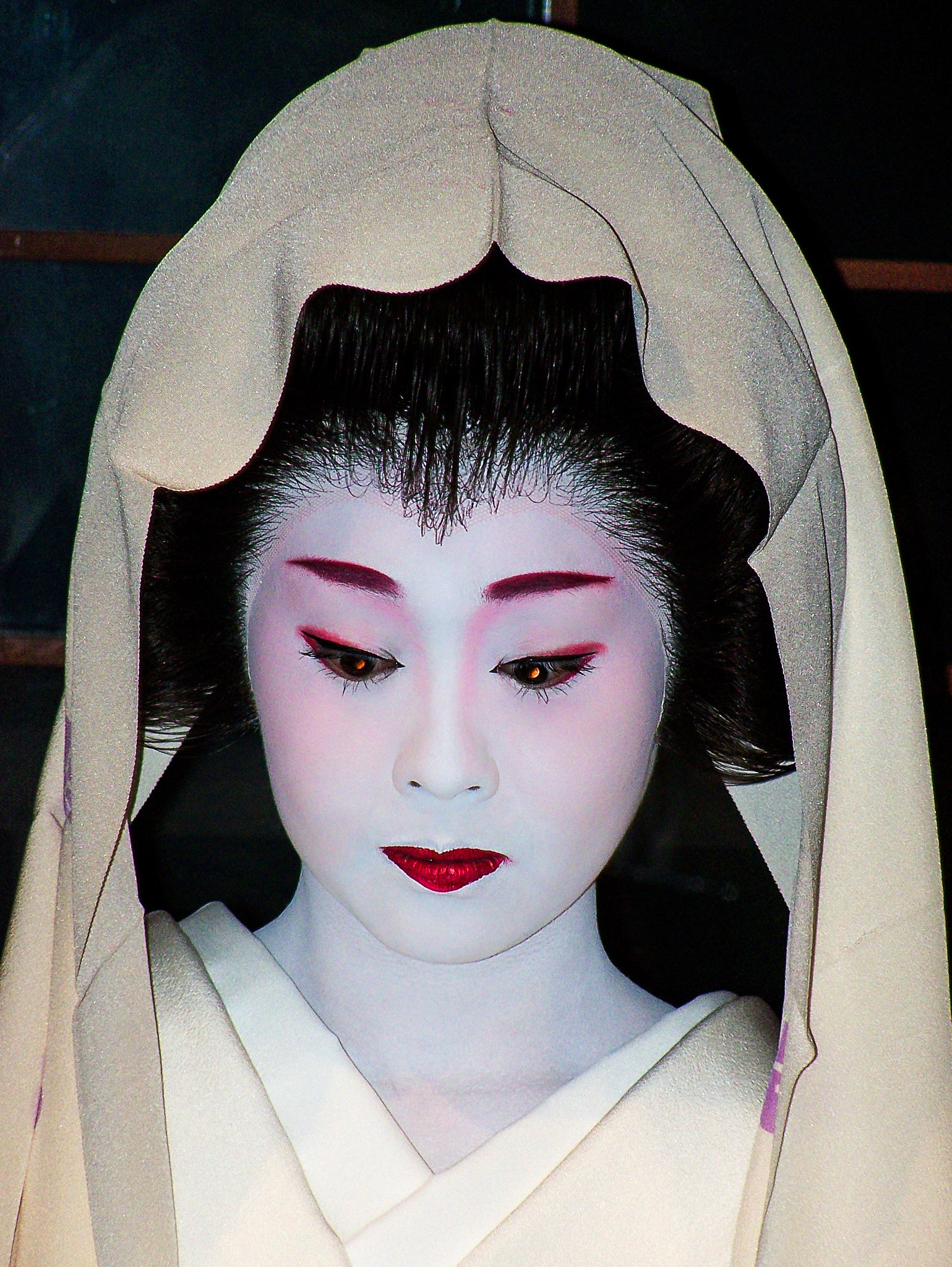 Kodak Z650 ZOOM DIGITAL CAMERA sample photo. Geisha performance in kyoto, japan photography