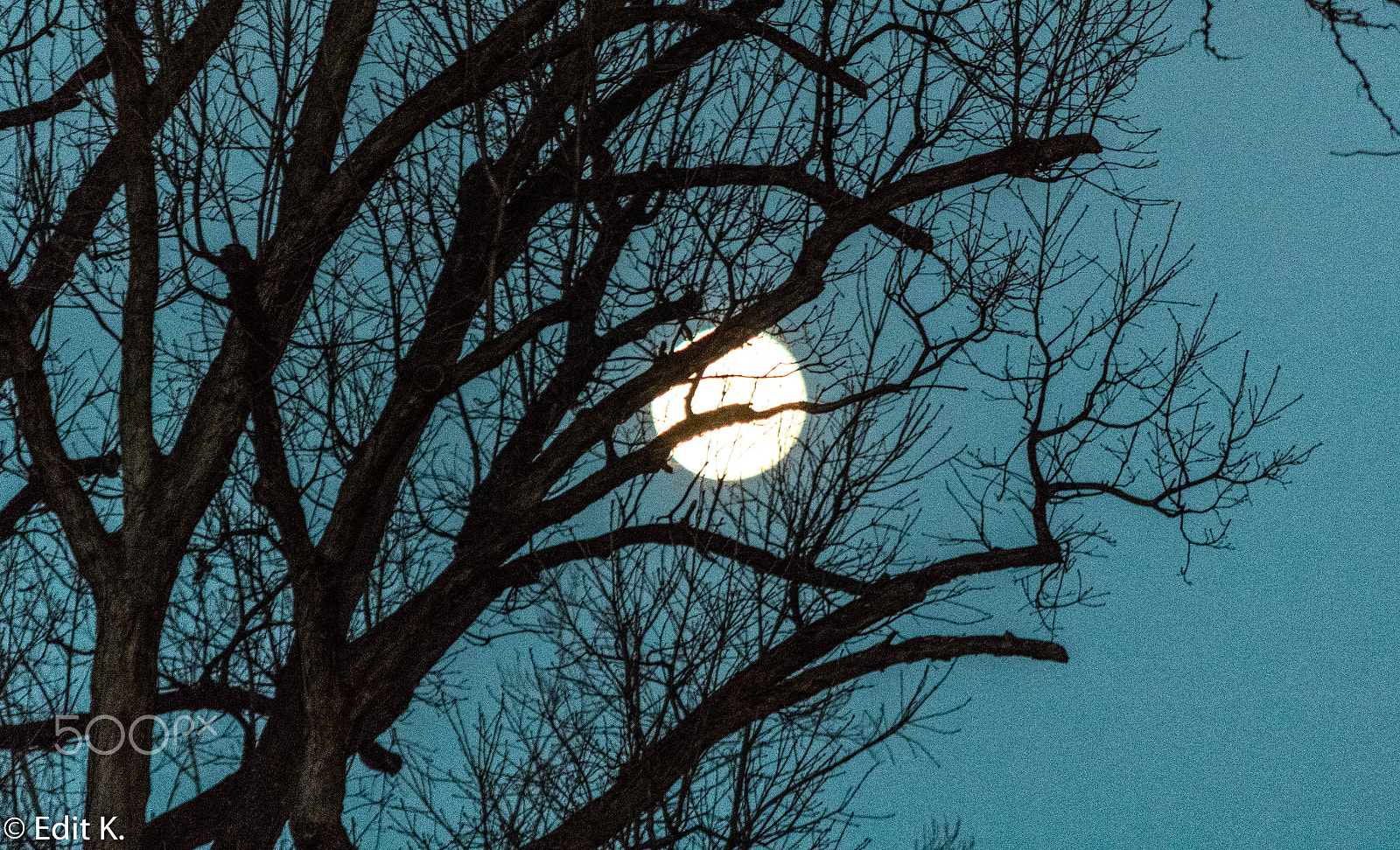 Nikon D3400 sample photo. Full moon on friday the 13th photography