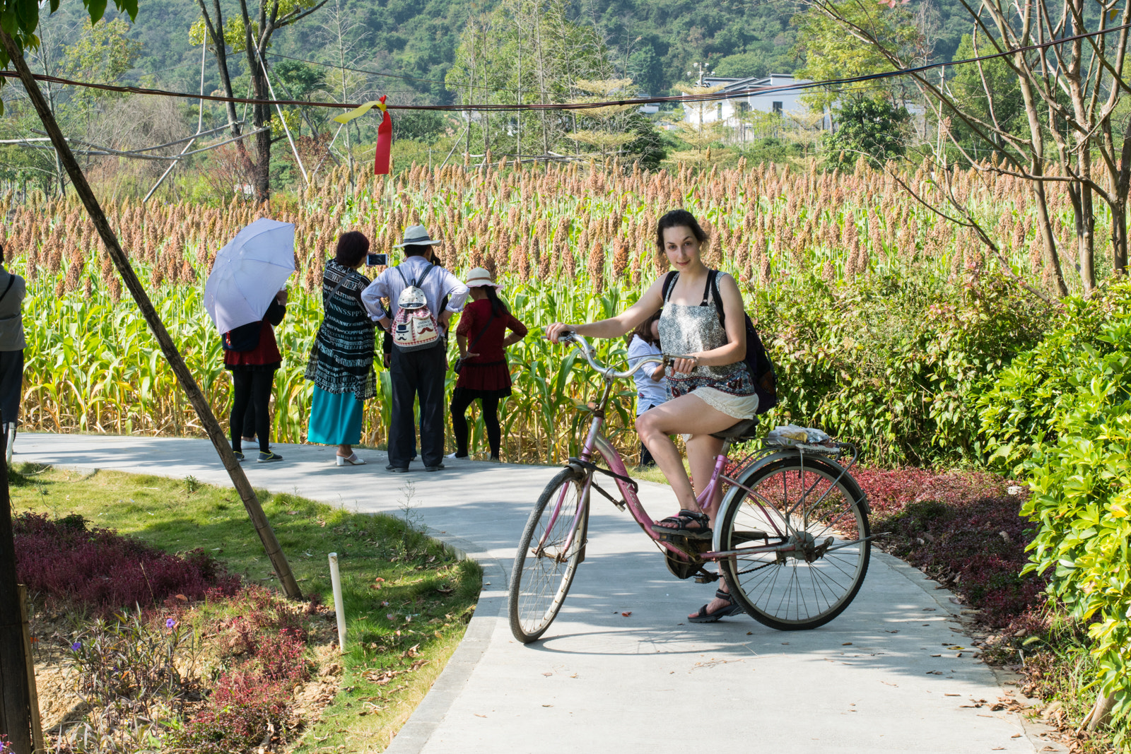 Nikon D3300 + Nikon AF-S Nikkor 50mm F1.4G sample photo. They see me rollin' photography