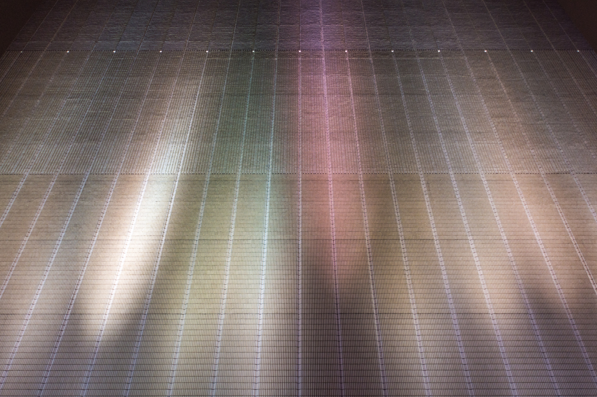 Sigma 8-16mm F4.5-5.6 DC HSM sample photo. Light racing photography