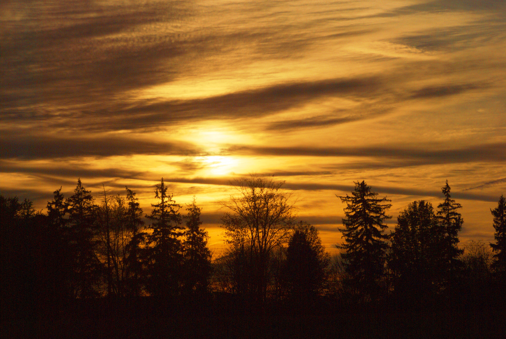 Nikon D200 + Manual Lens No CPU sample photo. Golden sky photography