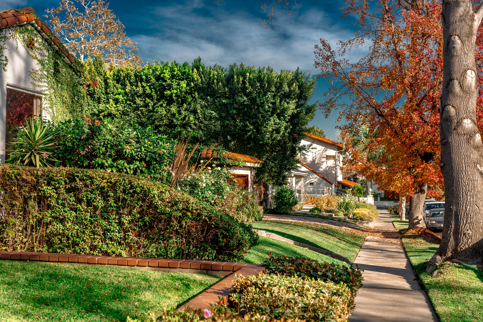 Sigma 50mm F1.4 EX DG HSM sample photo. Fall colors in california photography