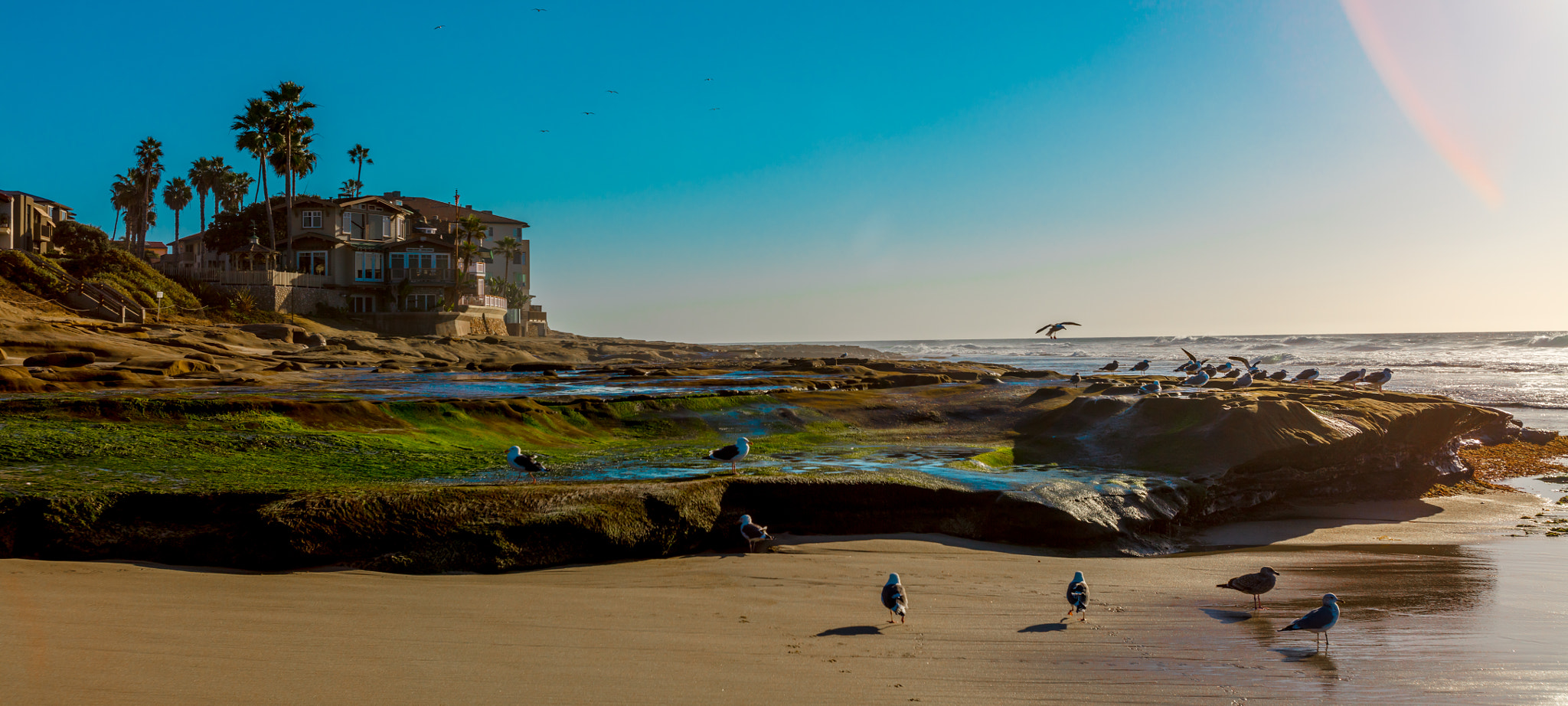 Canon EOS 5DS + Canon EF 16-35mm F2.8L USM sample photo. Beach in full sun at the pacific photography