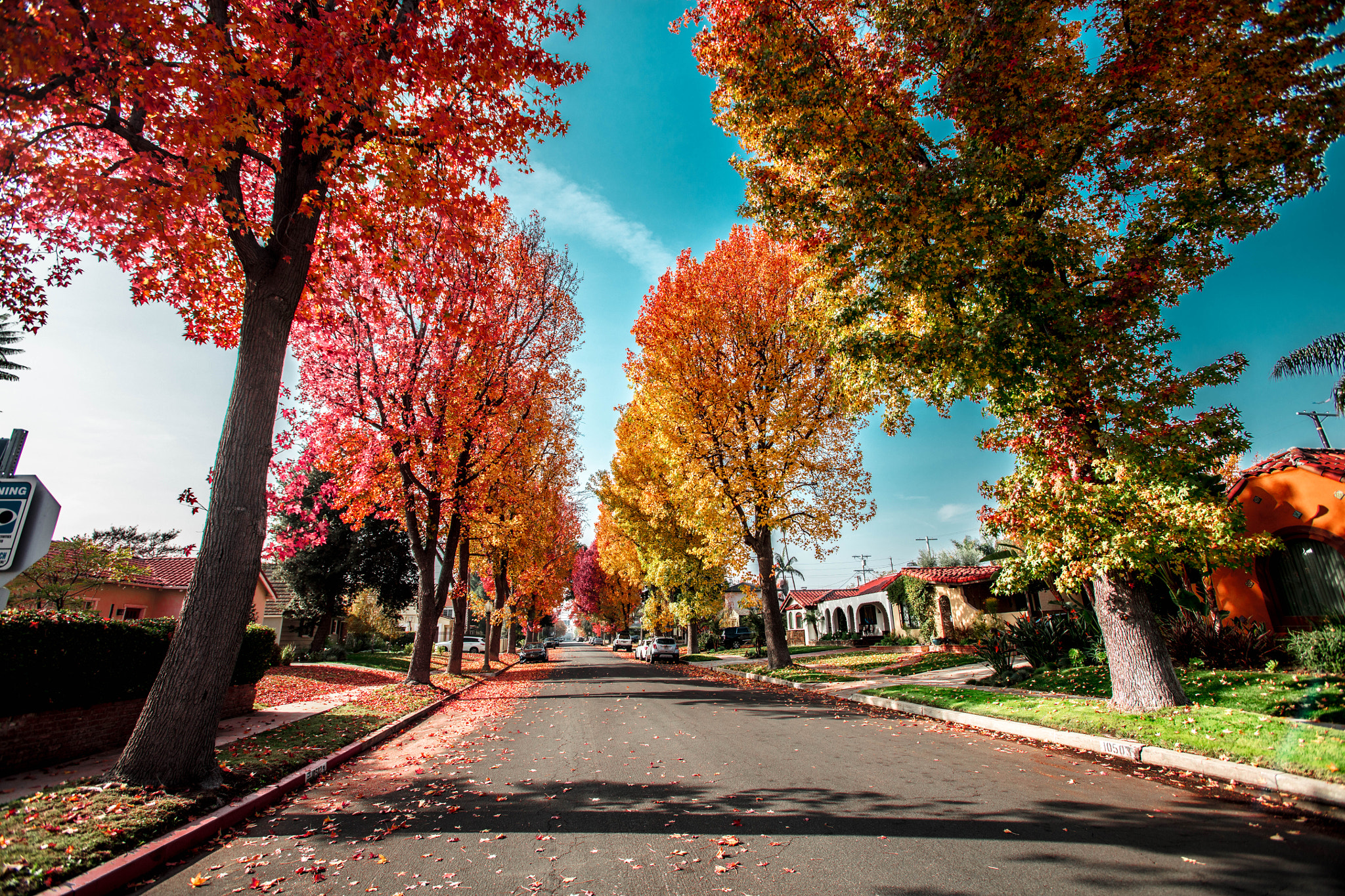 Canon EOS 5DS + Canon EF 16-35mm F2.8L USM sample photo. Fall scenes from the suburb photography