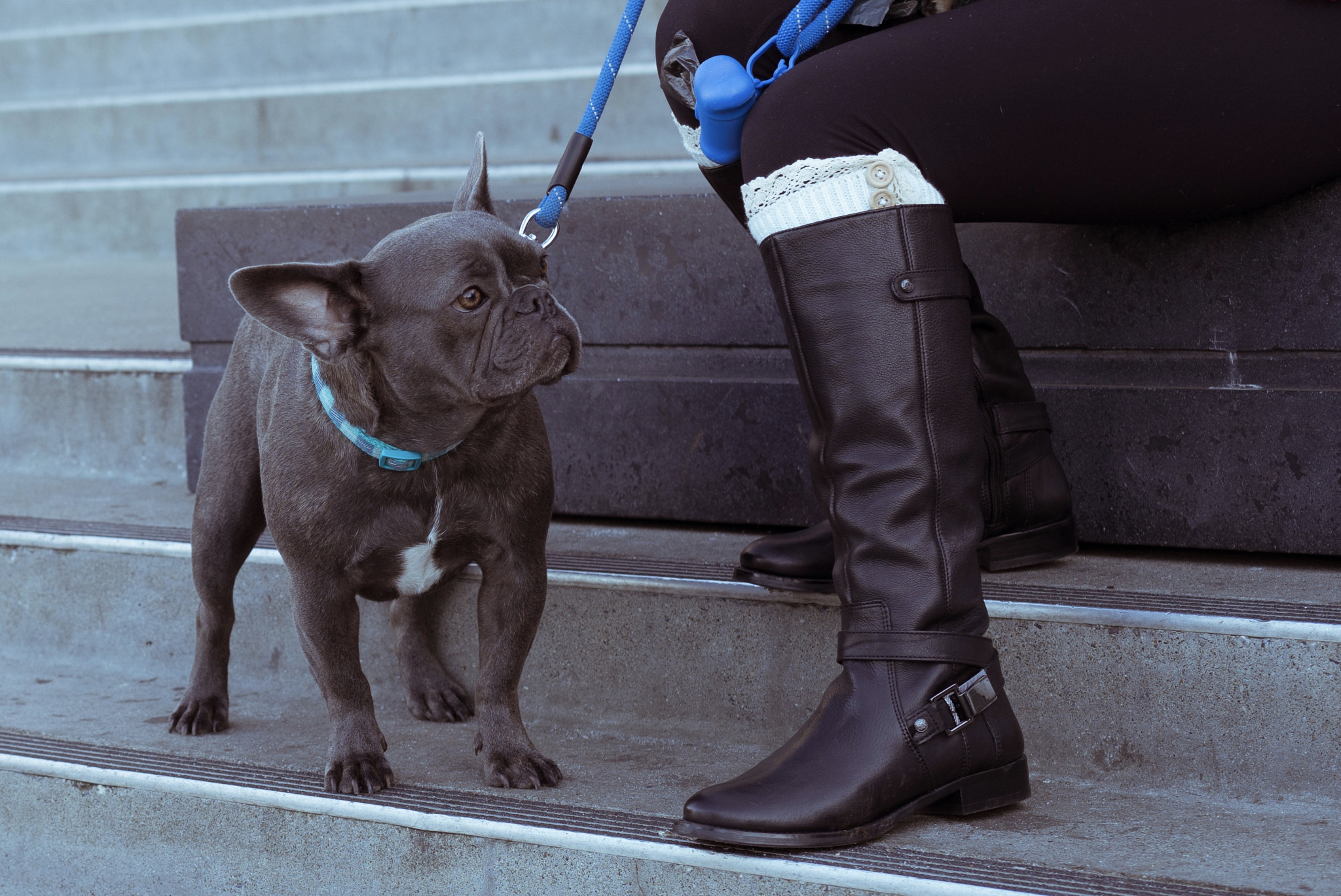 Leica APO-Summicron-M 50mm F2 ASPH sample photo. Shiny black photography