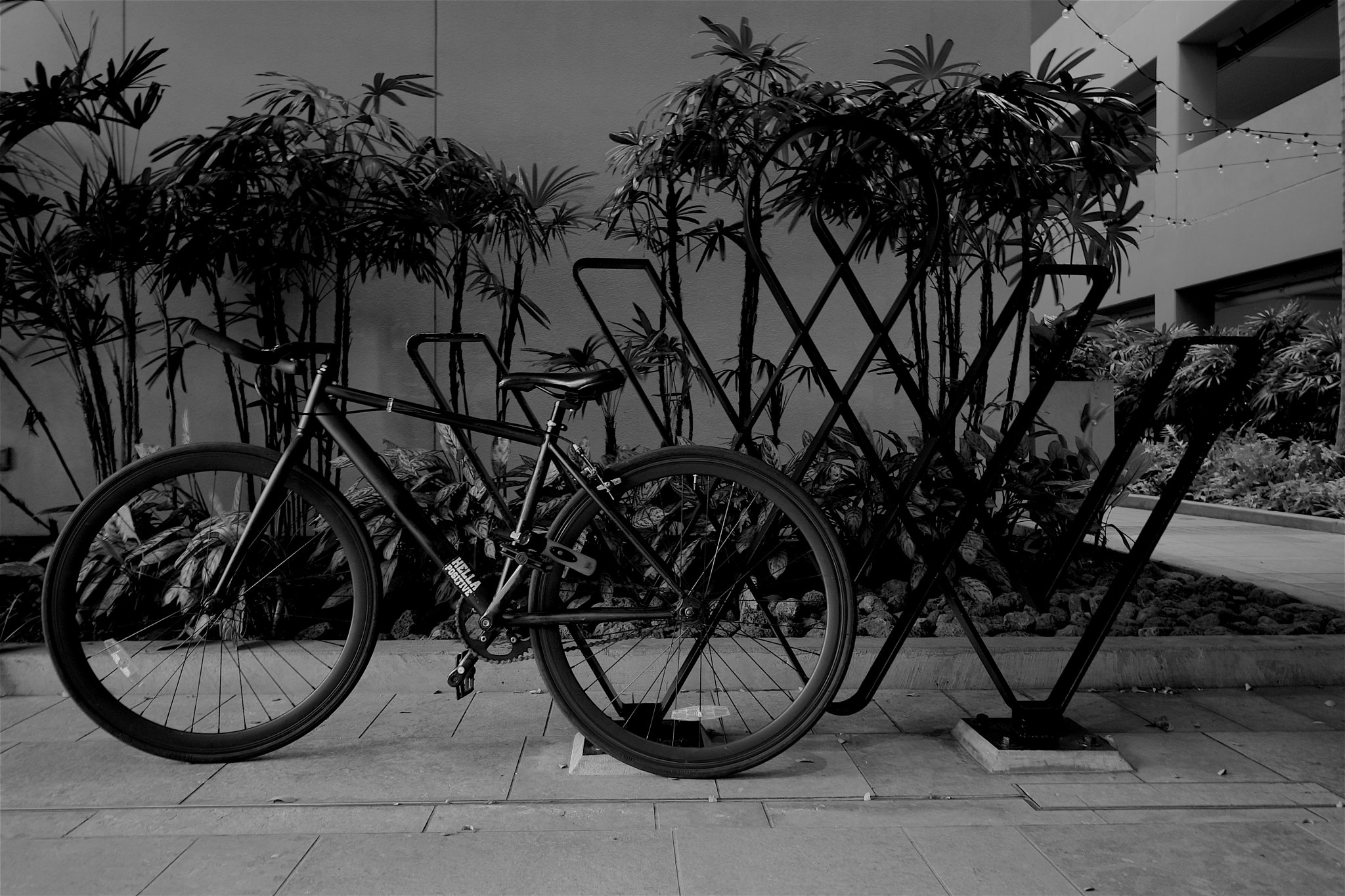 Canon EOS 40D sample photo. Hella positive photography