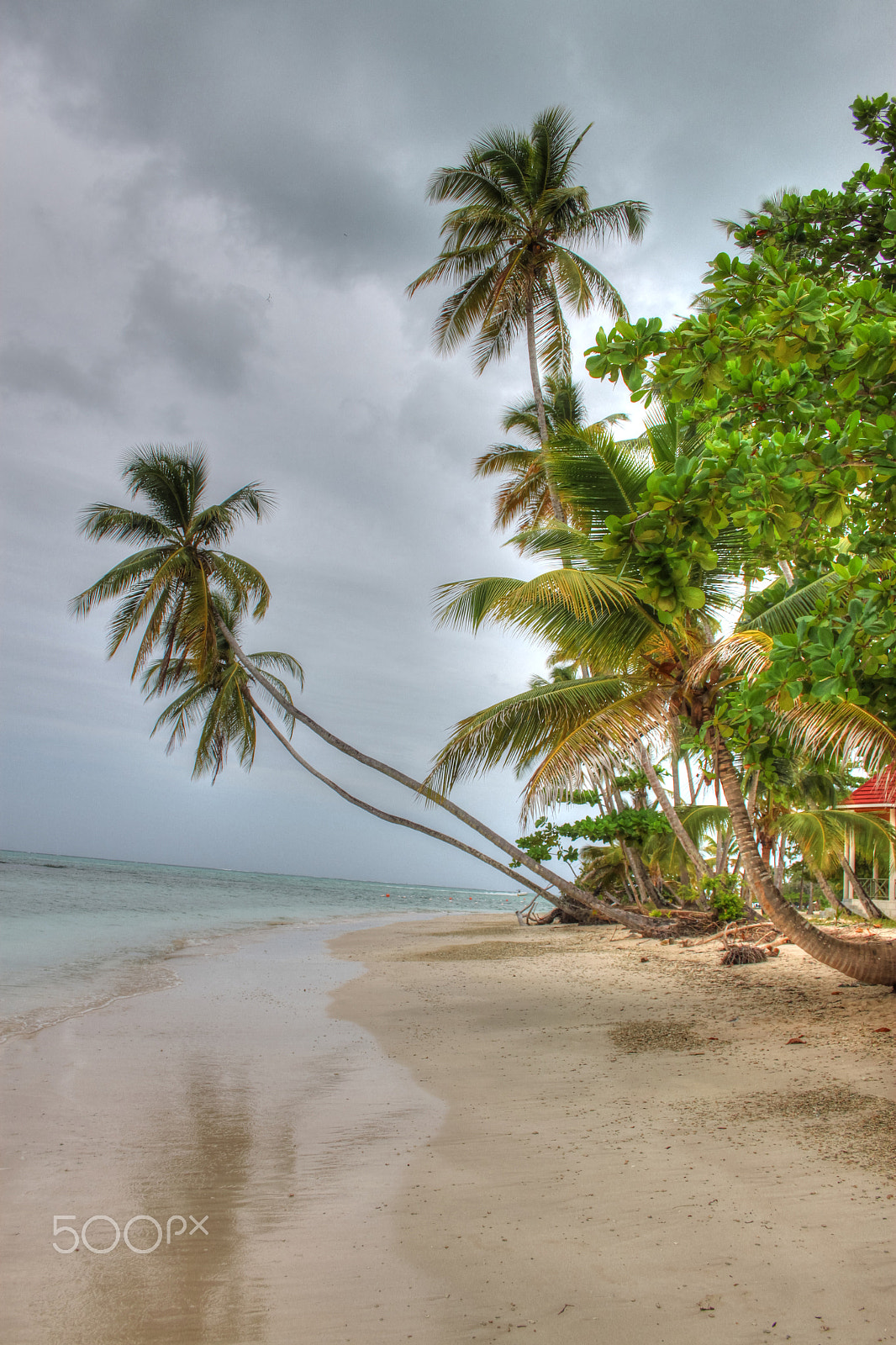 Canon EF-S 18-55mm F3.5-5.6 II sample photo. Pigeon point beach tobago photography