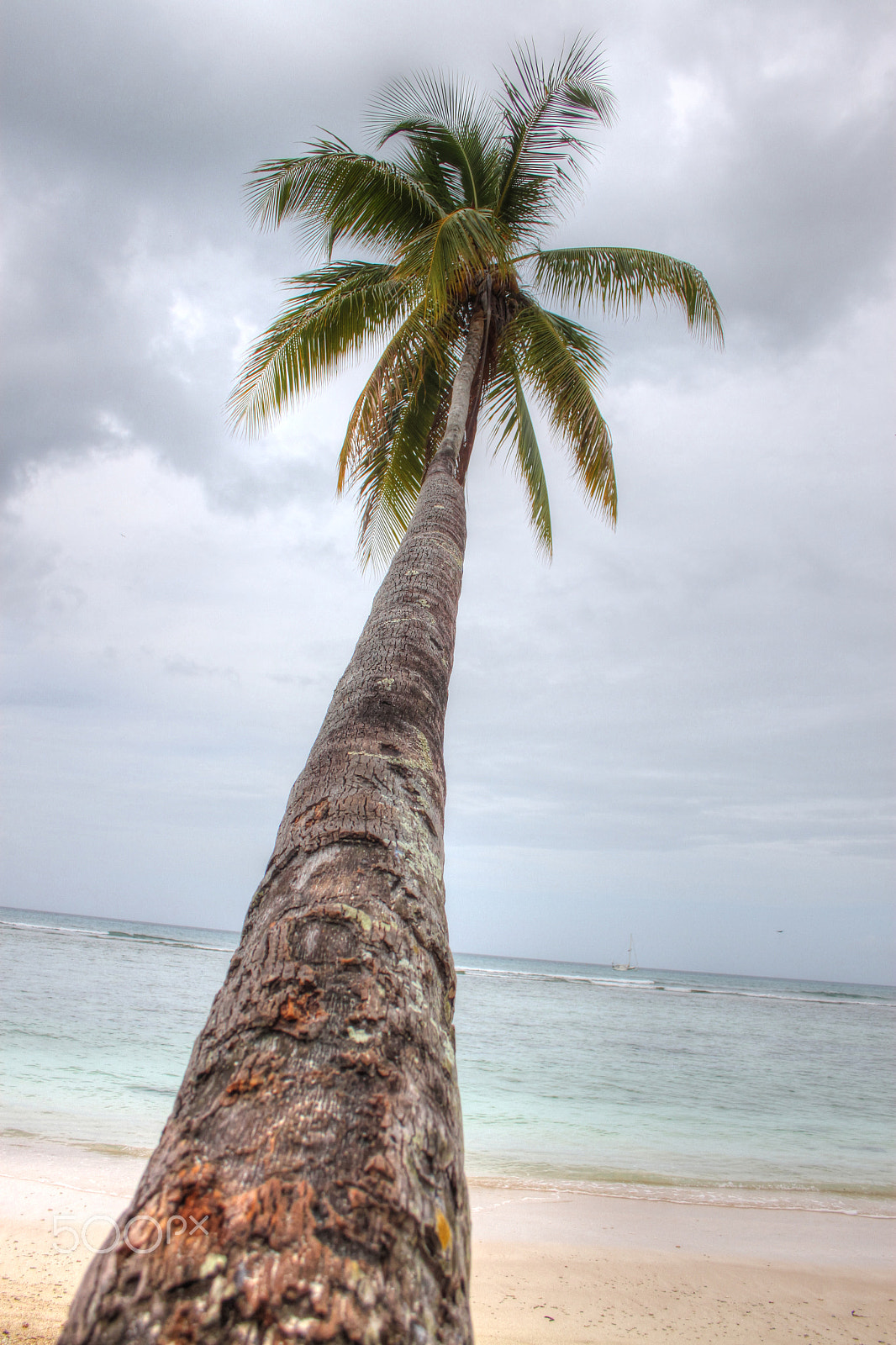 Canon EF-S 18-55mm F3.5-5.6 II sample photo. Palms up photography