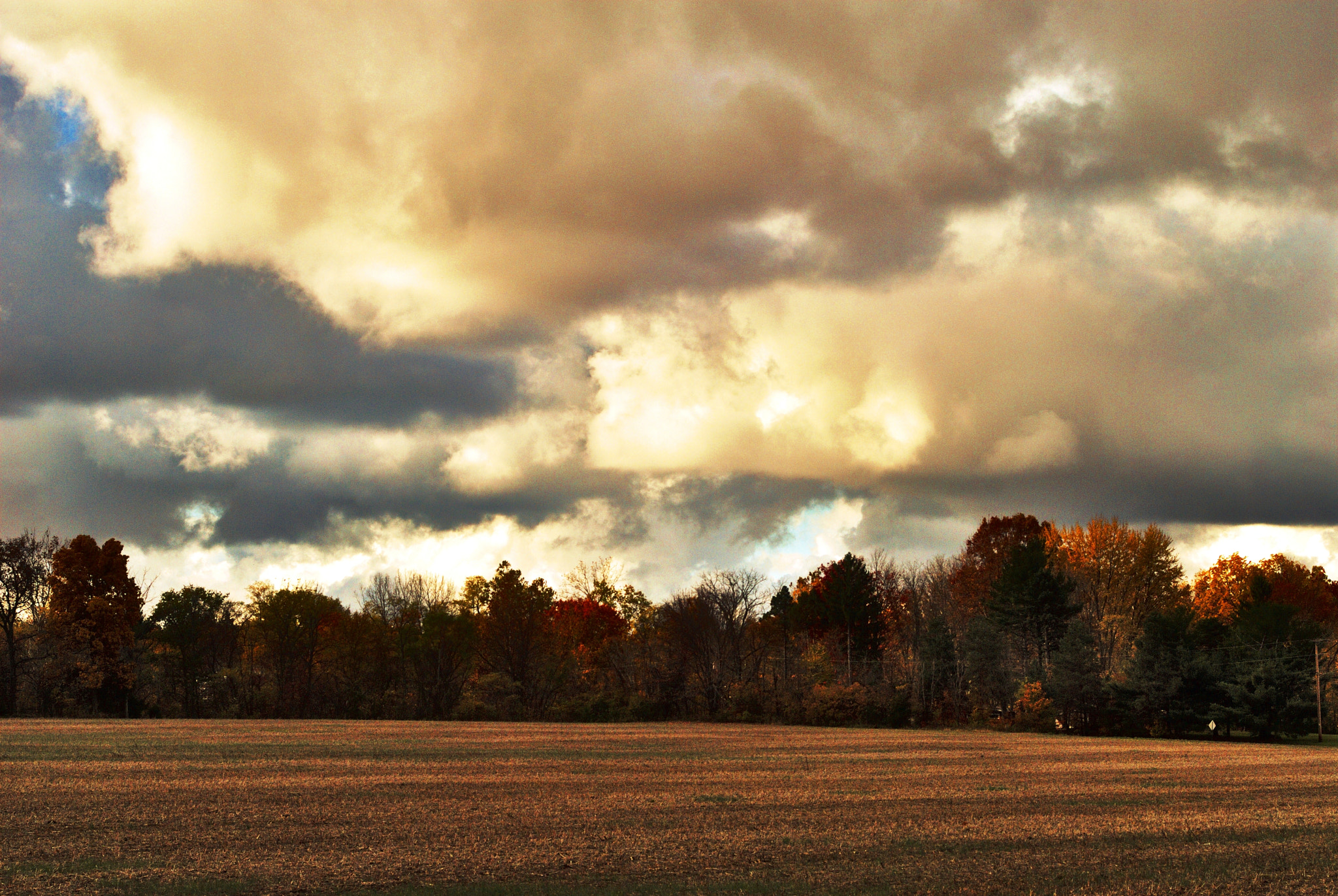 Nikon D200 + Manual Lens No CPU sample photo. Autumn colors photography