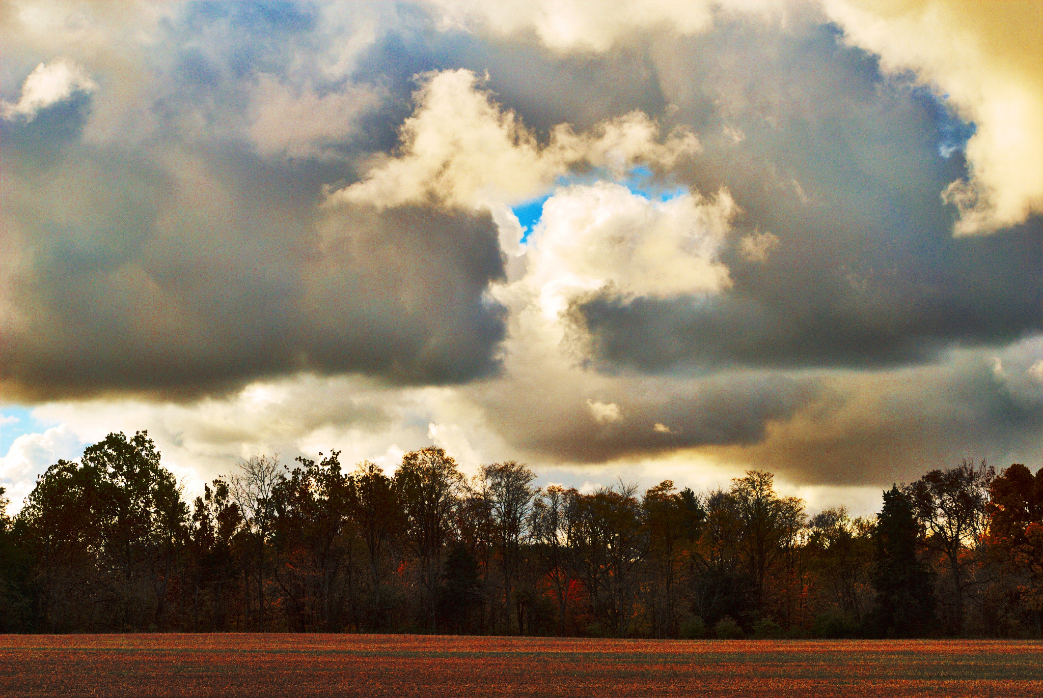 Nikon D200 sample photo. Autumn sky. photography