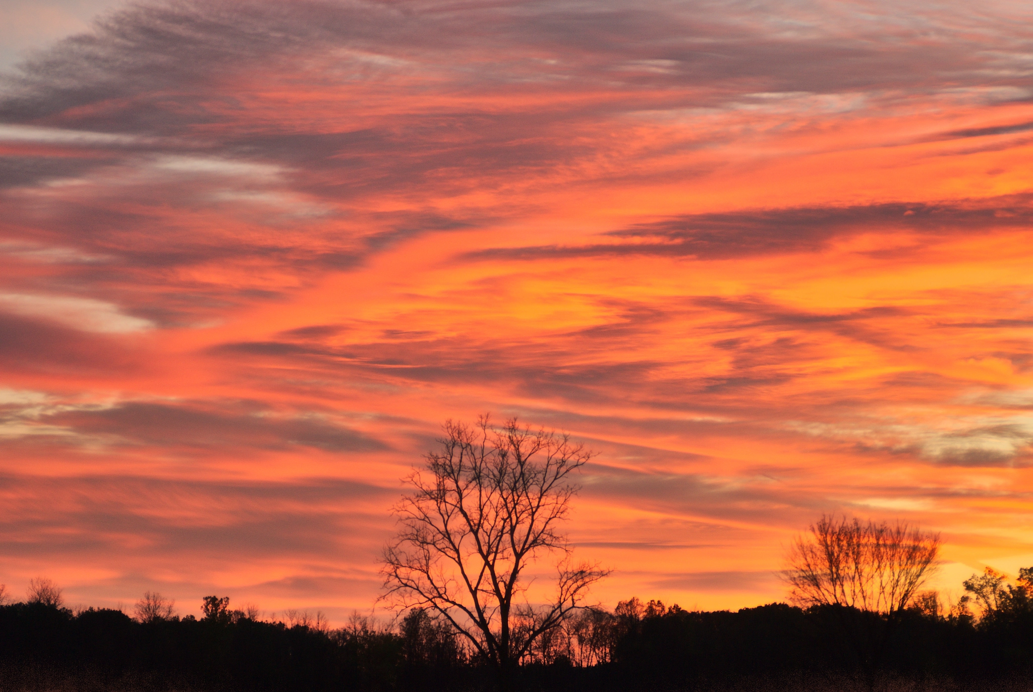 Nikon D200 sample photo. Sunset sky photography