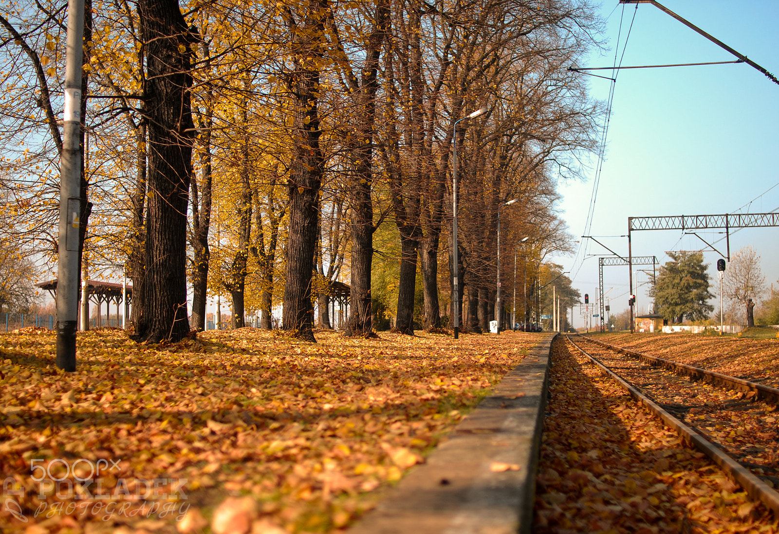 Nikon D60 sample photo. Colours of autumn photography