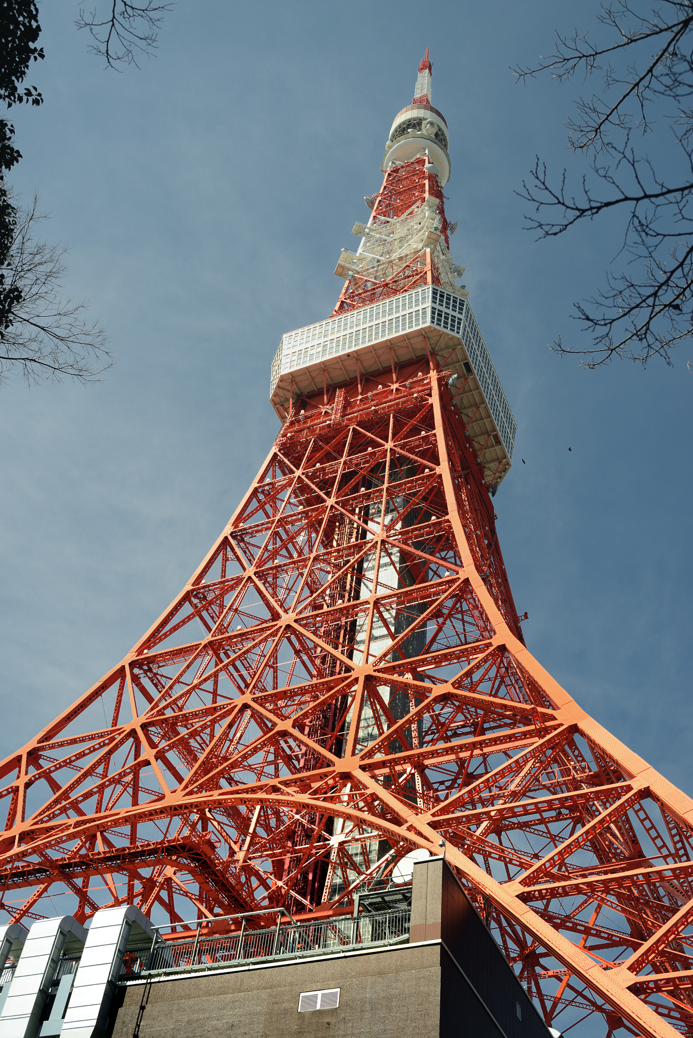 Nikon D600 sample photo. Tokyo tower photography