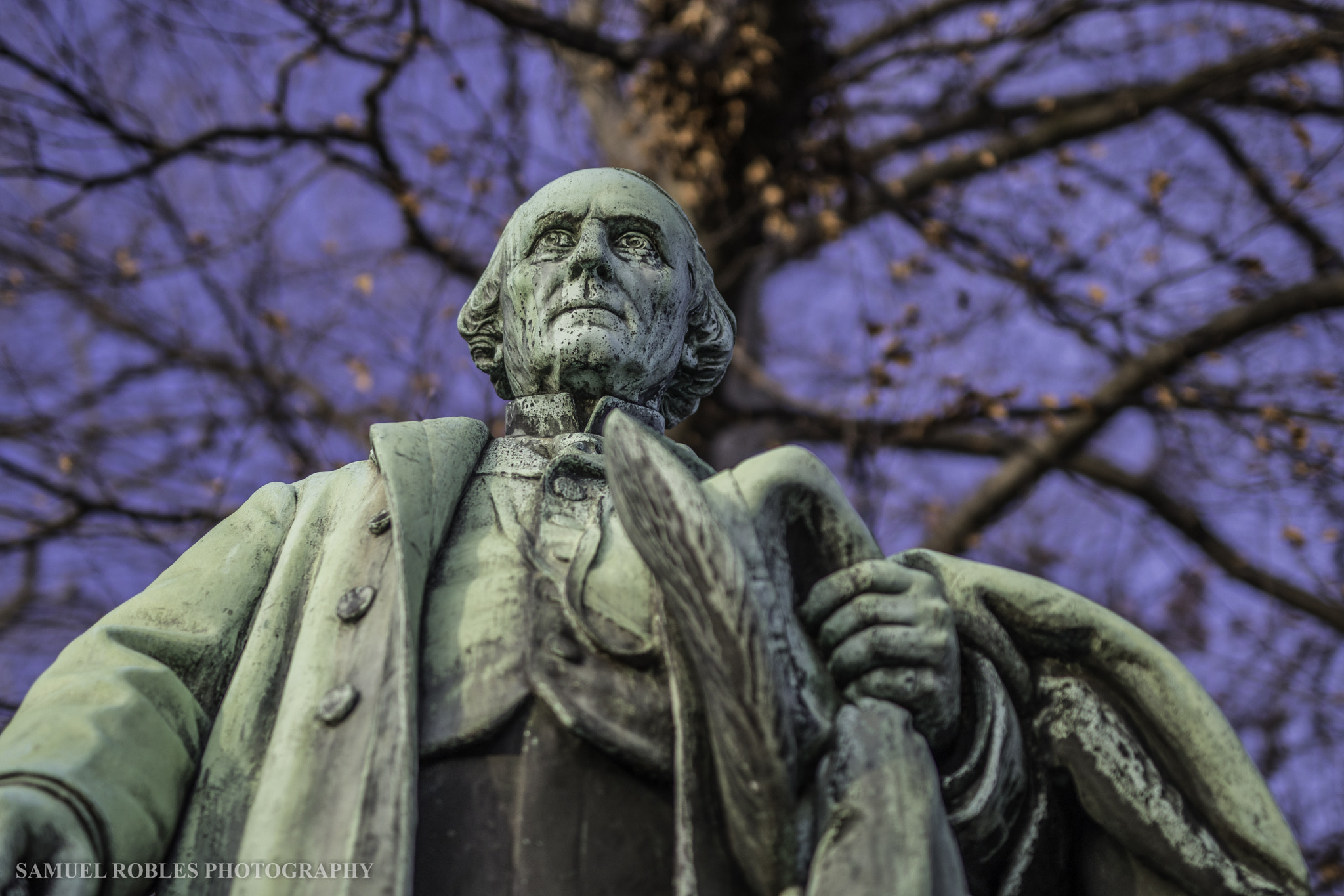 Sigma 50mm F1.4 EX DG HSM sample photo. Beardsley park photography