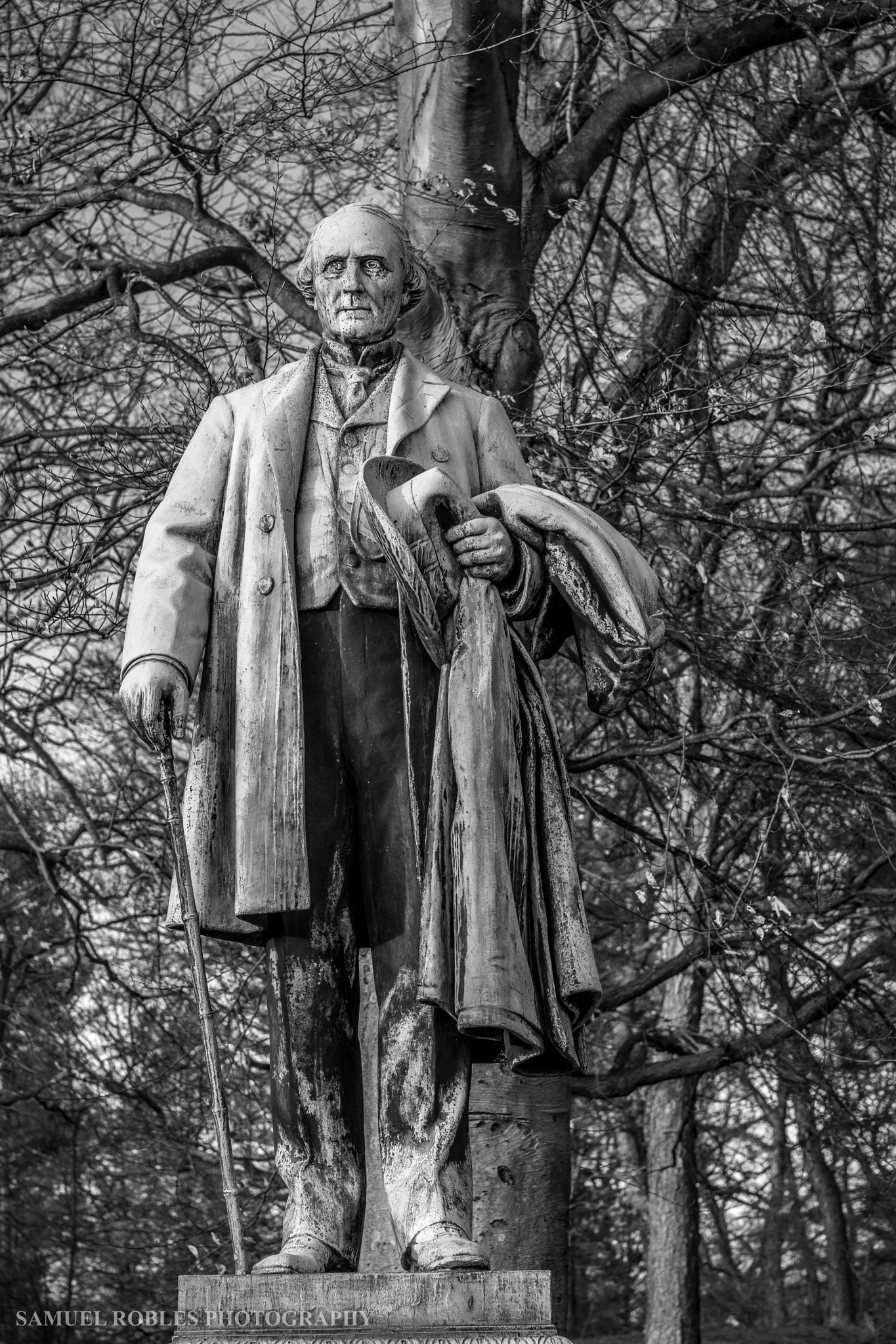 Sigma 50mm F1.4 EX DG HSM sample photo. Beardsley park photography