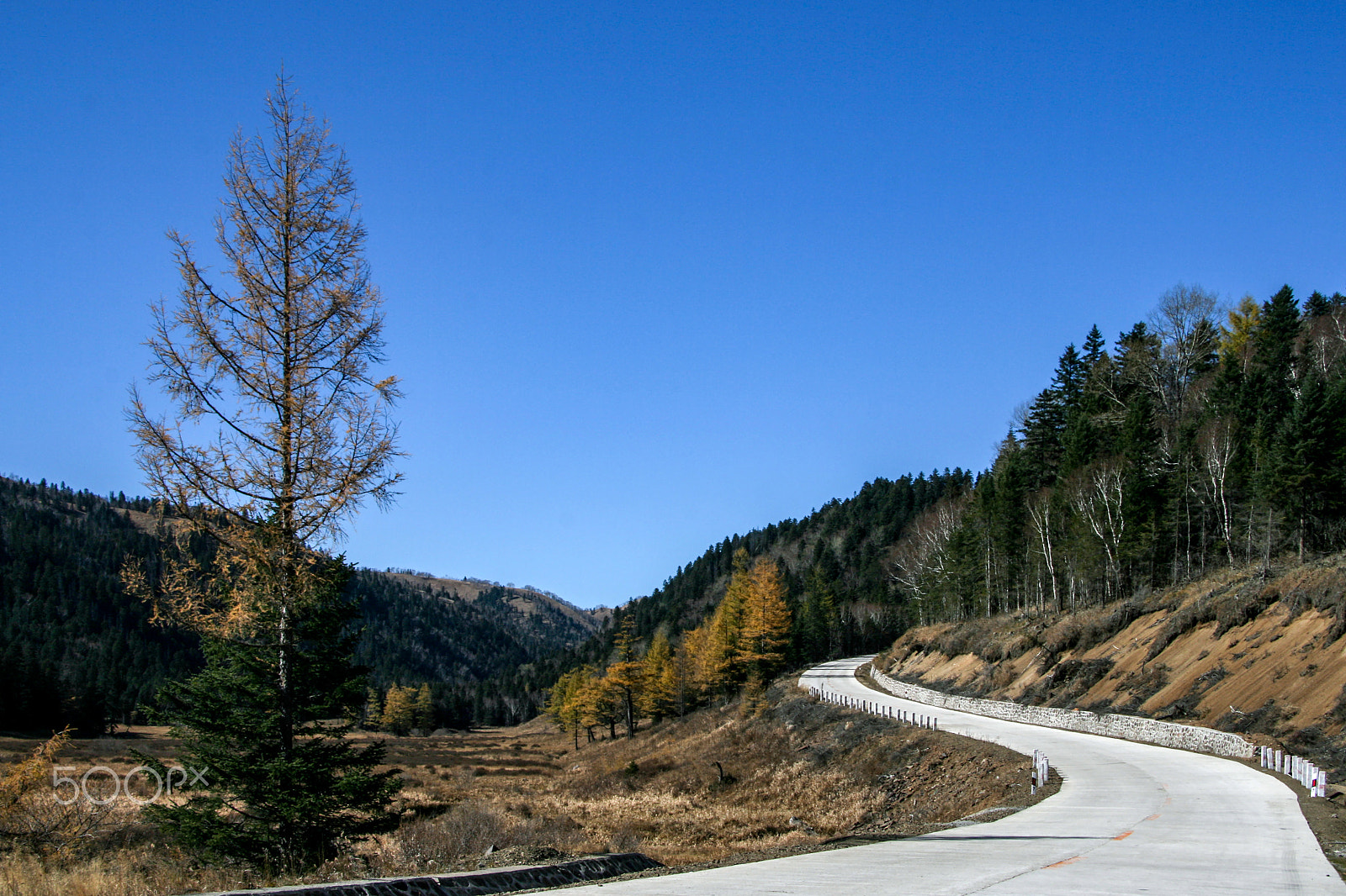 Canon EF-S 17-85mm F4-5.6 IS USM sample photo. Road photography