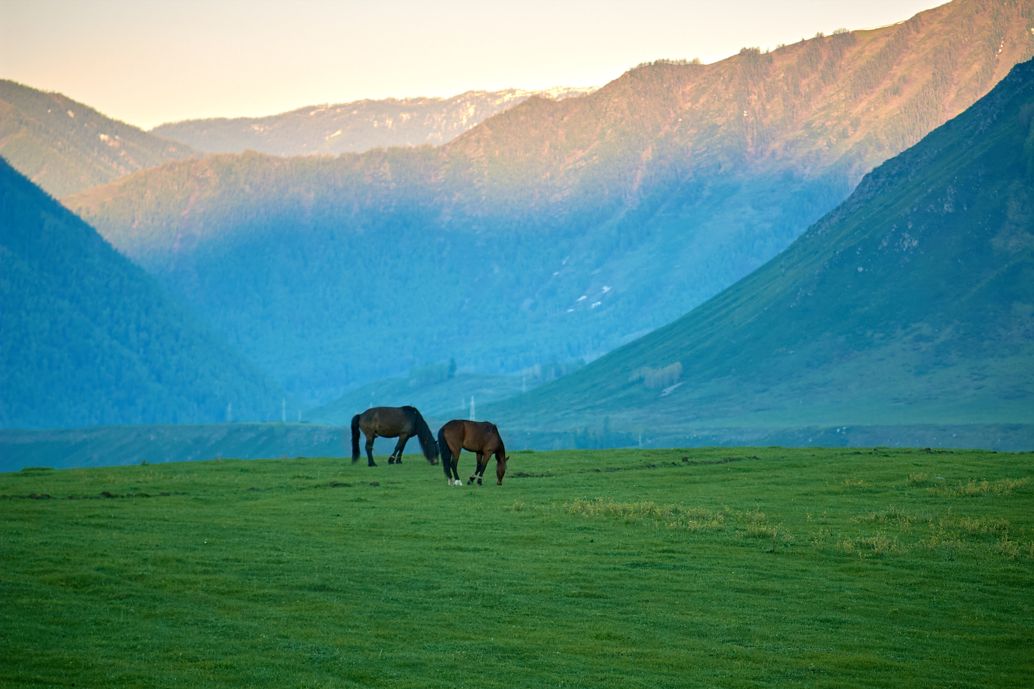 Canon EF 35-80mm f/4-5.6 sample photo. Colors of kanas photography