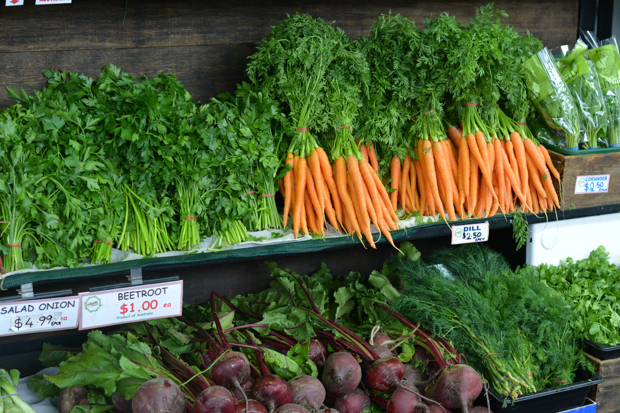 Nikon D5200 + Nikon AF-S Nikkor 50mm F1.4G sample photo. Prahran market melb. photography