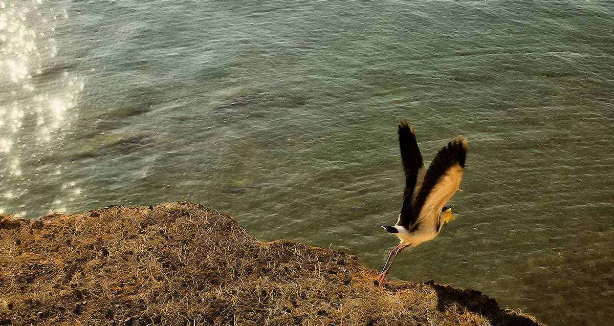 Nikon D7000 sample photo. Flight photography