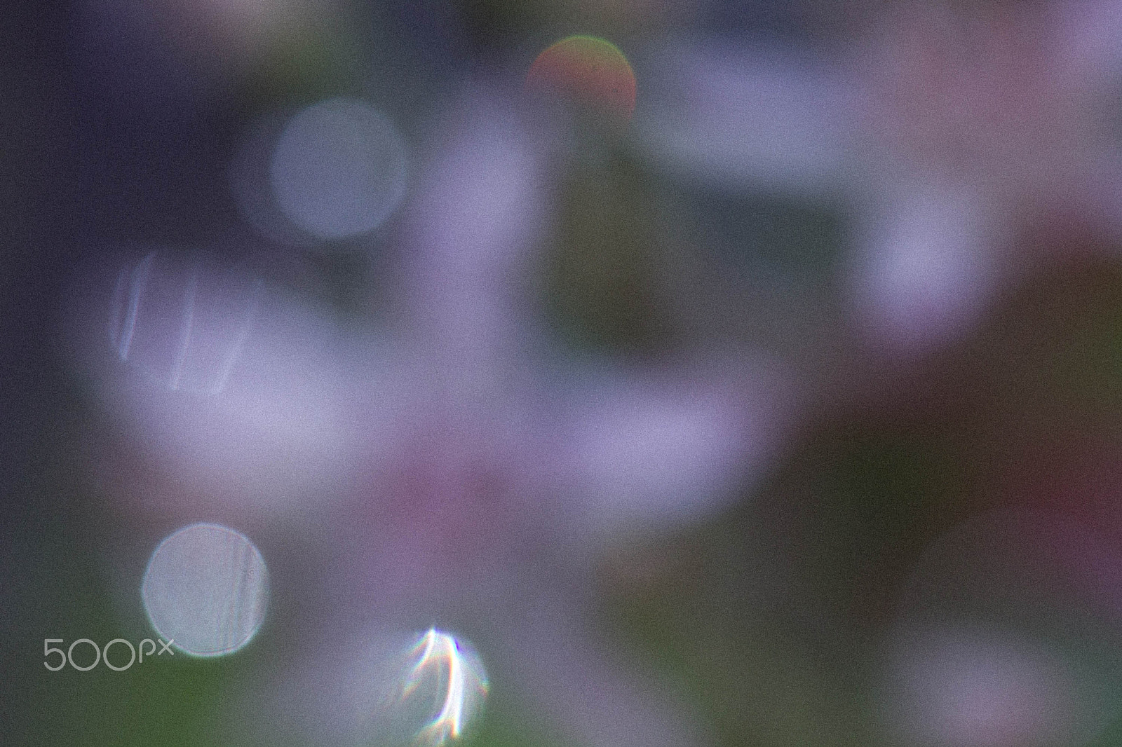 Canon EF 100mm F2.8L Macro IS USM sample photo. Star light star bright photography