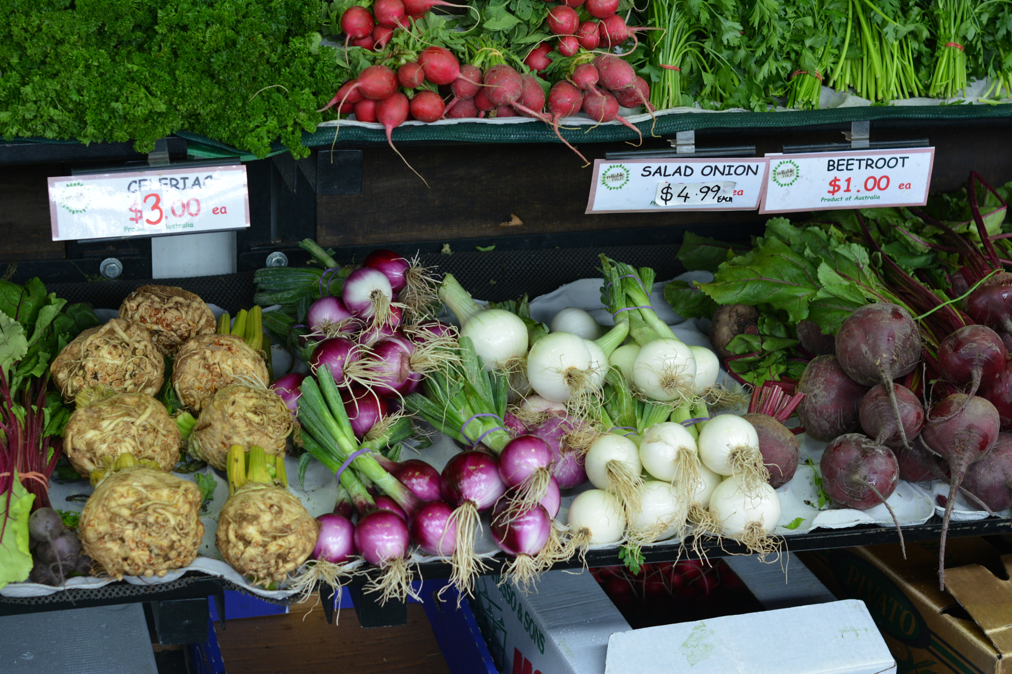 Nikon D5200 + Nikon AF-S Nikkor 50mm F1.4G sample photo. Prahran market melb. photography