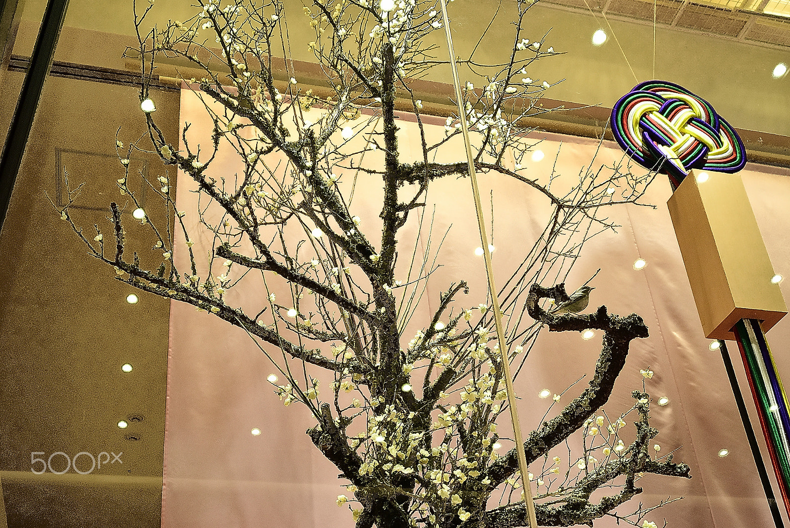 Nikon D200 sample photo. Japanese new year flower arrangement 4 photography