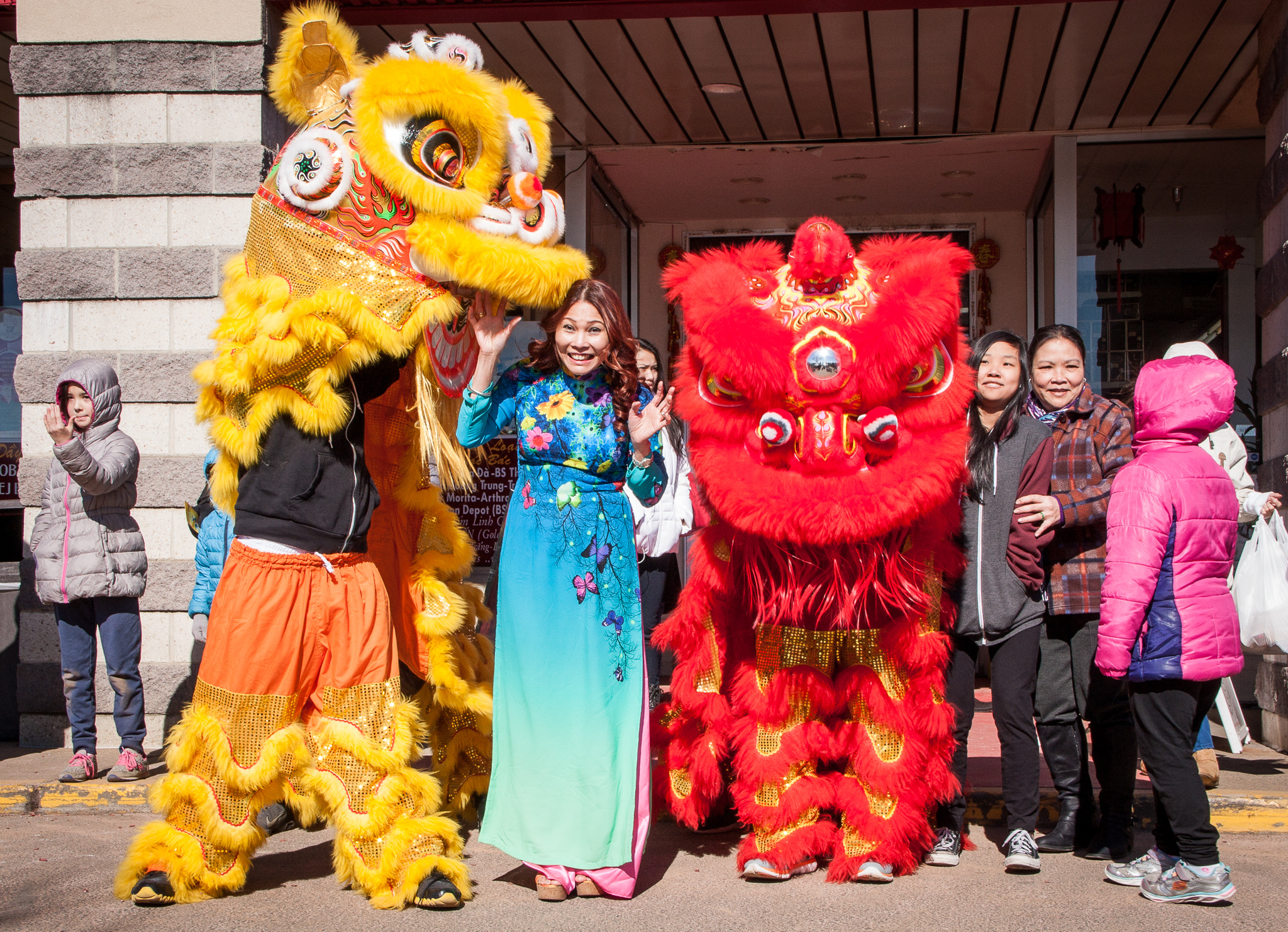 Canon EOS 40D sample photo. Too many lions photography