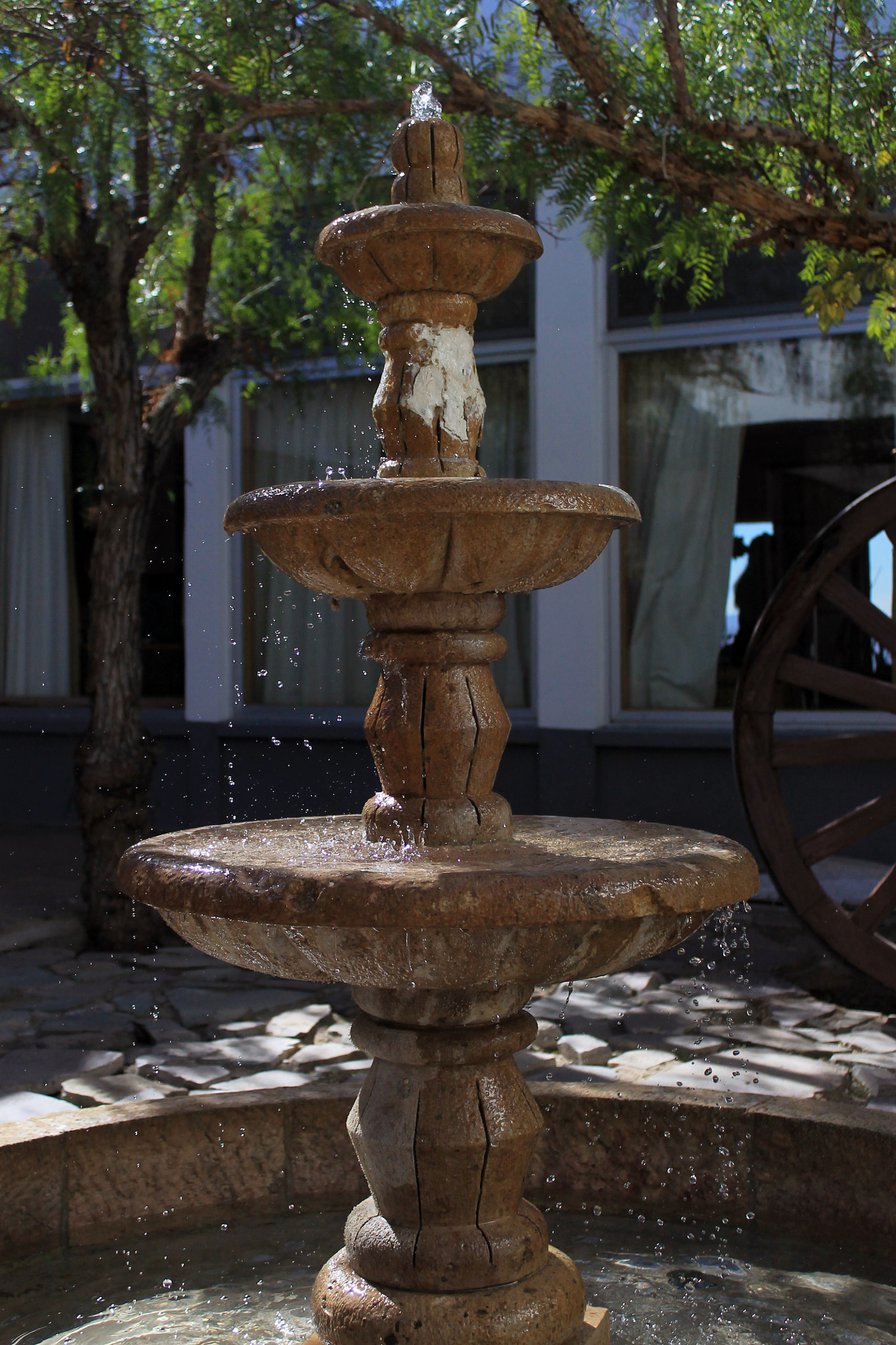 Canon EOS 1100D (EOS Rebel T3 / EOS Kiss X50) sample photo. Drops photography